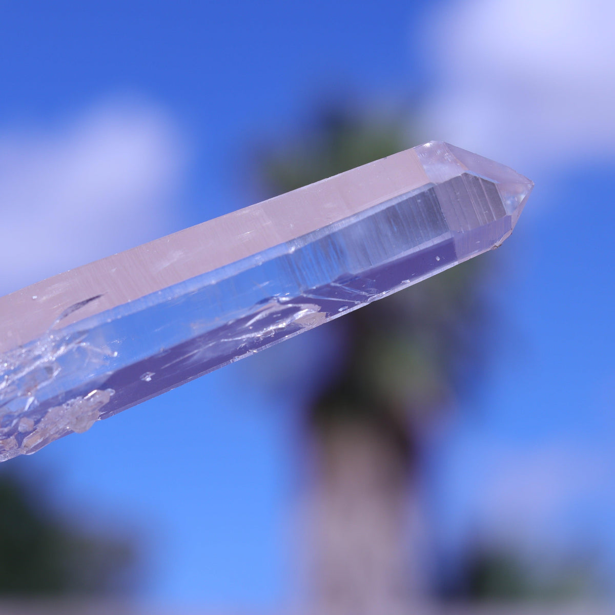 Colombian Lemurian Seed Crystal Point