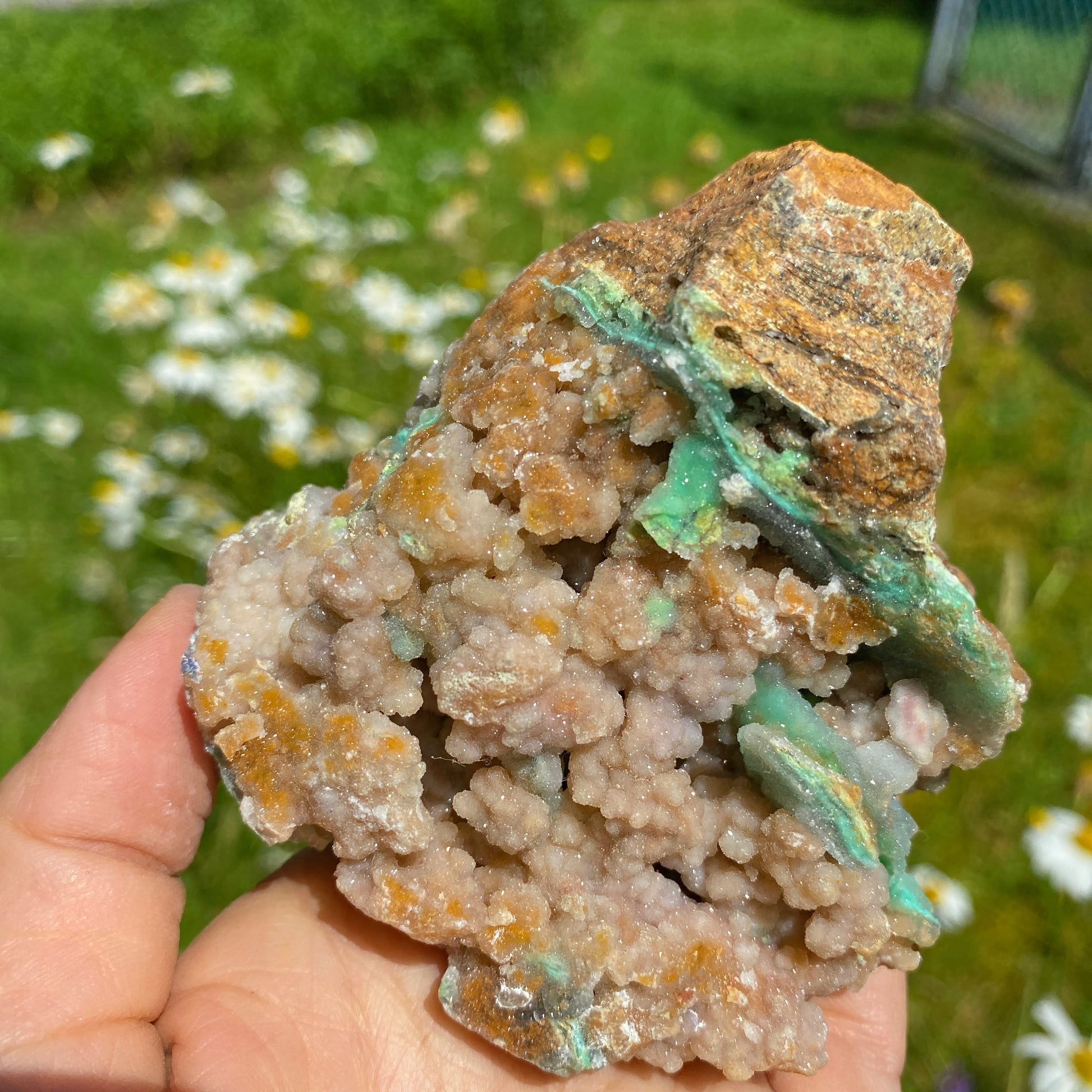 NEW RARE FIND! Pink & Green Chunky XL Sparkling Chalcedony Natural Specimen #1 - Earth Family Crystals