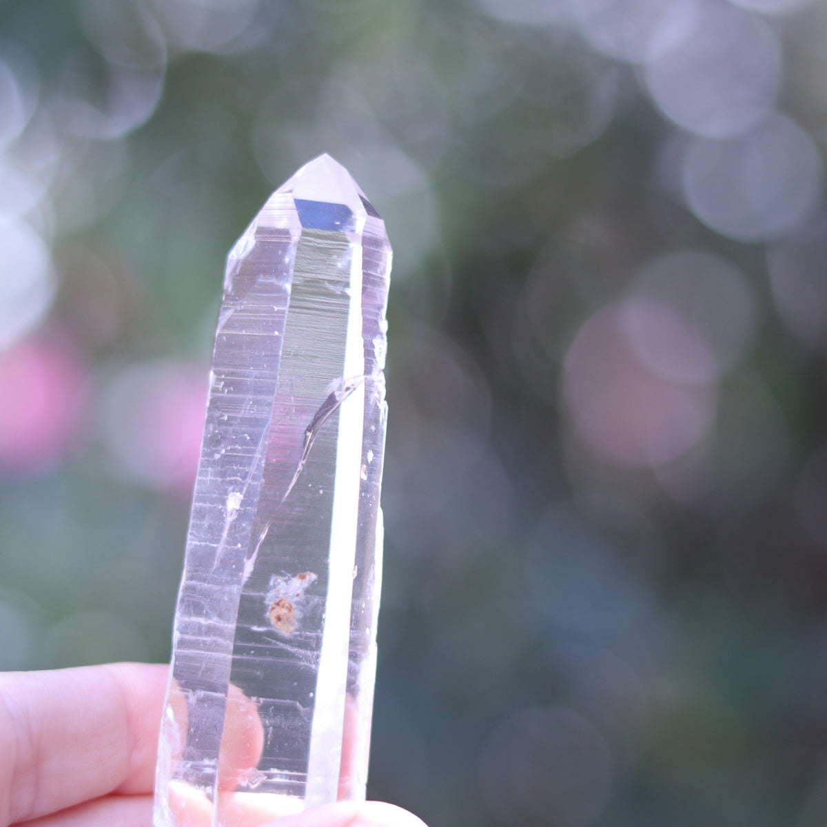Large Lemurian Seed Clear Quartz Crystal Point