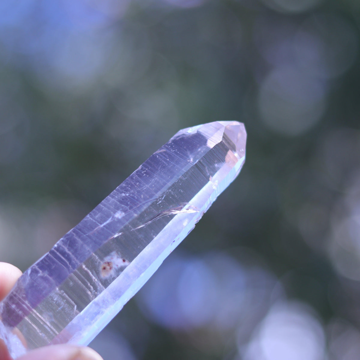 Large Lemurian Seed Clear Quartz Crystal Point