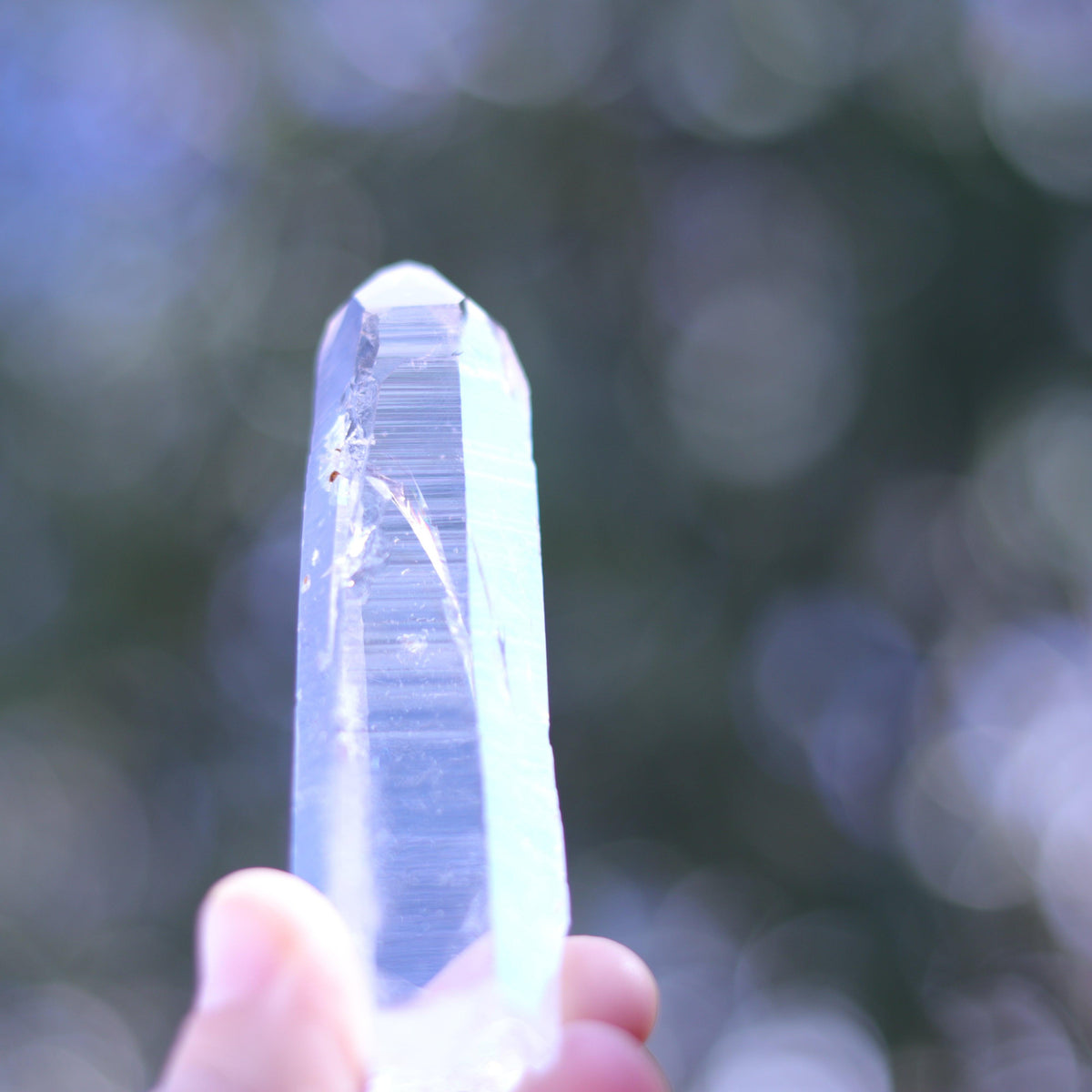 Large Lemurian Seed Clear Quartz Crystal Point