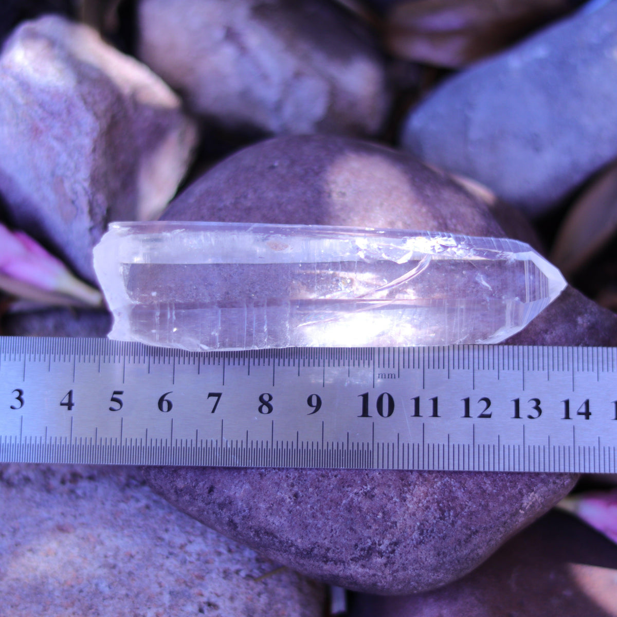 Large Lemurian Seed Clear Quartz Crystal Point