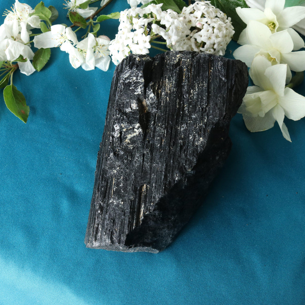 Large Black Tourmaline Grounding and Protective Display Specimen - Earth Family Crystals