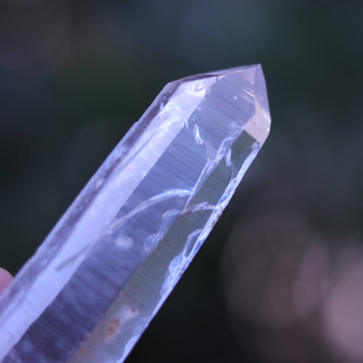 Large Lemurian Seed Clear Quartz Crystal Point