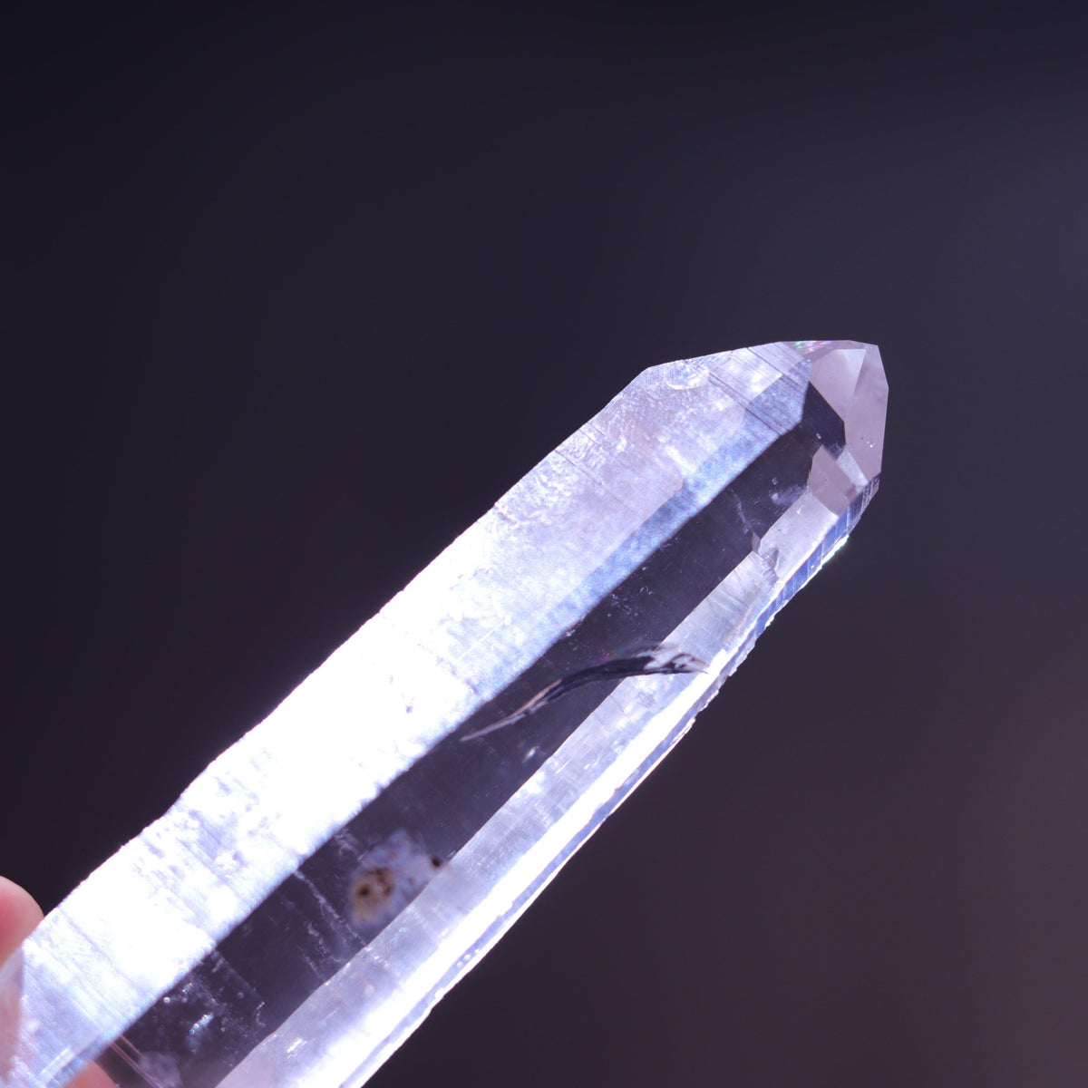 Large Lemurian Seed Clear Quartz Crystal Point