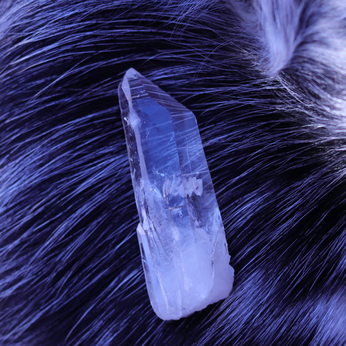 Colombian Lemurian Seed Crystal Point