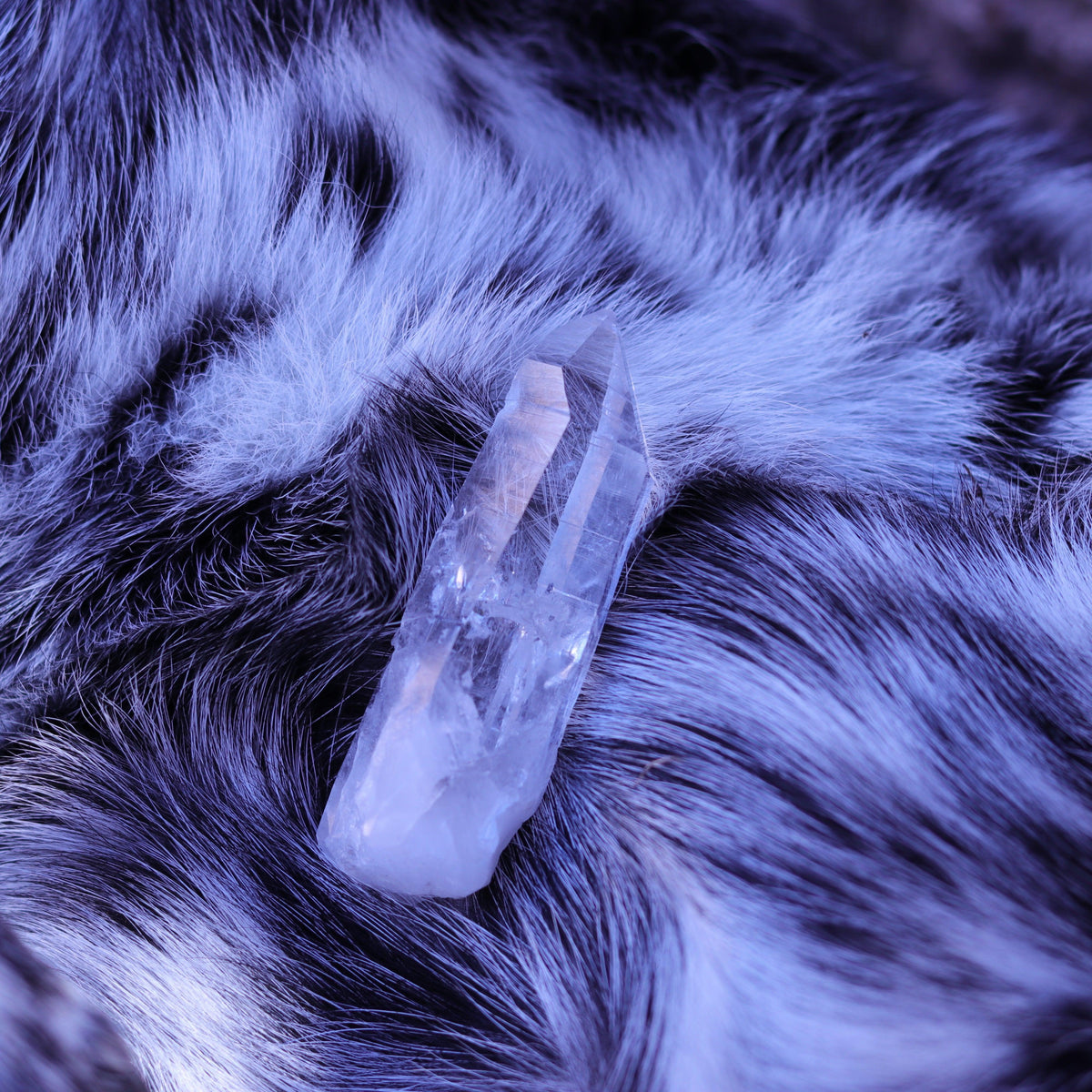 Colombian Lemurian Seed Crystal Point