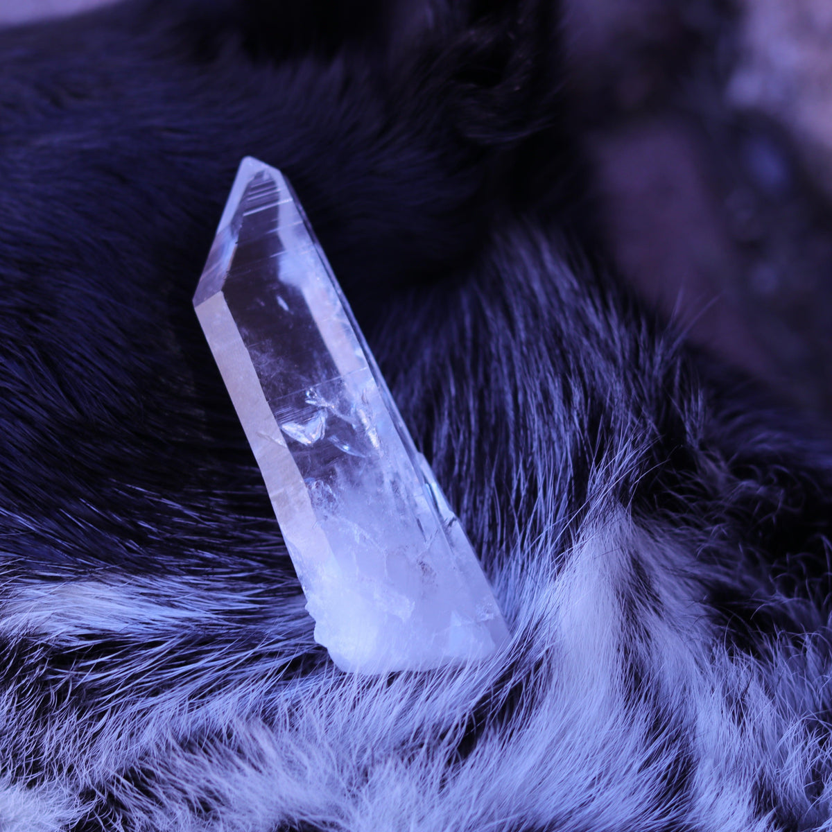Colombian Lemurian Seed Crystal Point