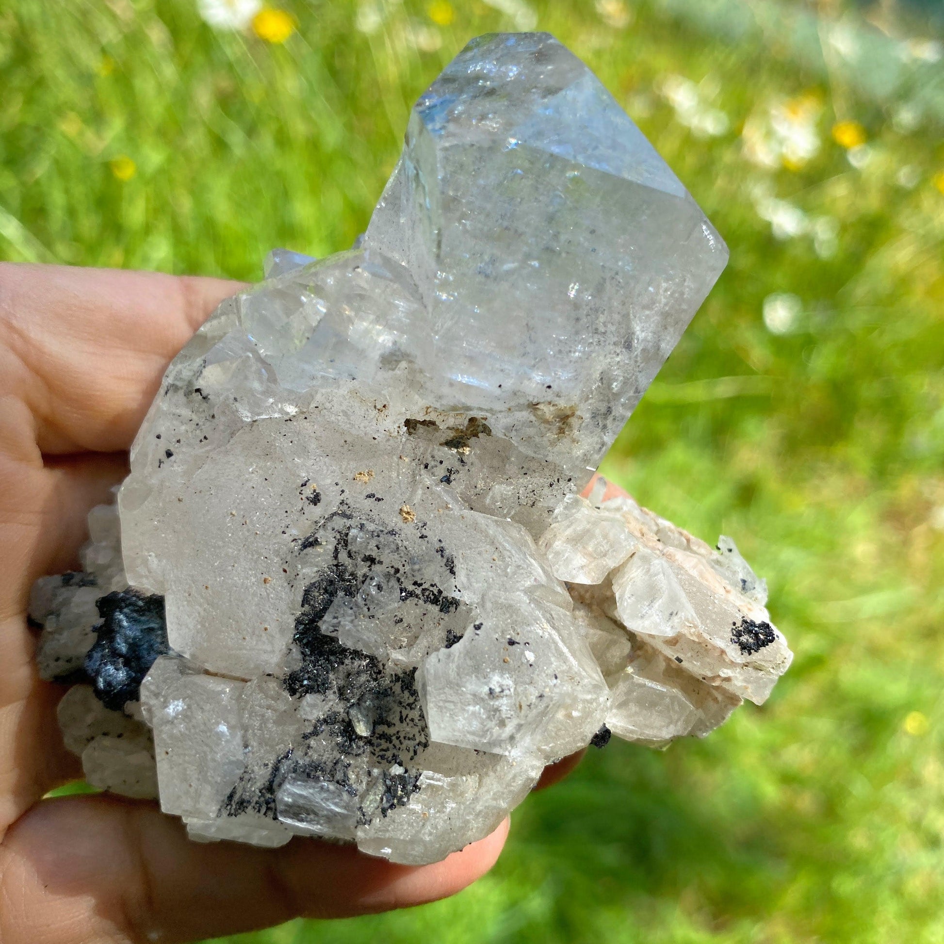 Incredible Rare Find! Old collection Natural Calcite & Black Lvaite Crystals from Dalnegorsk, Russia - Earth Family Crystals