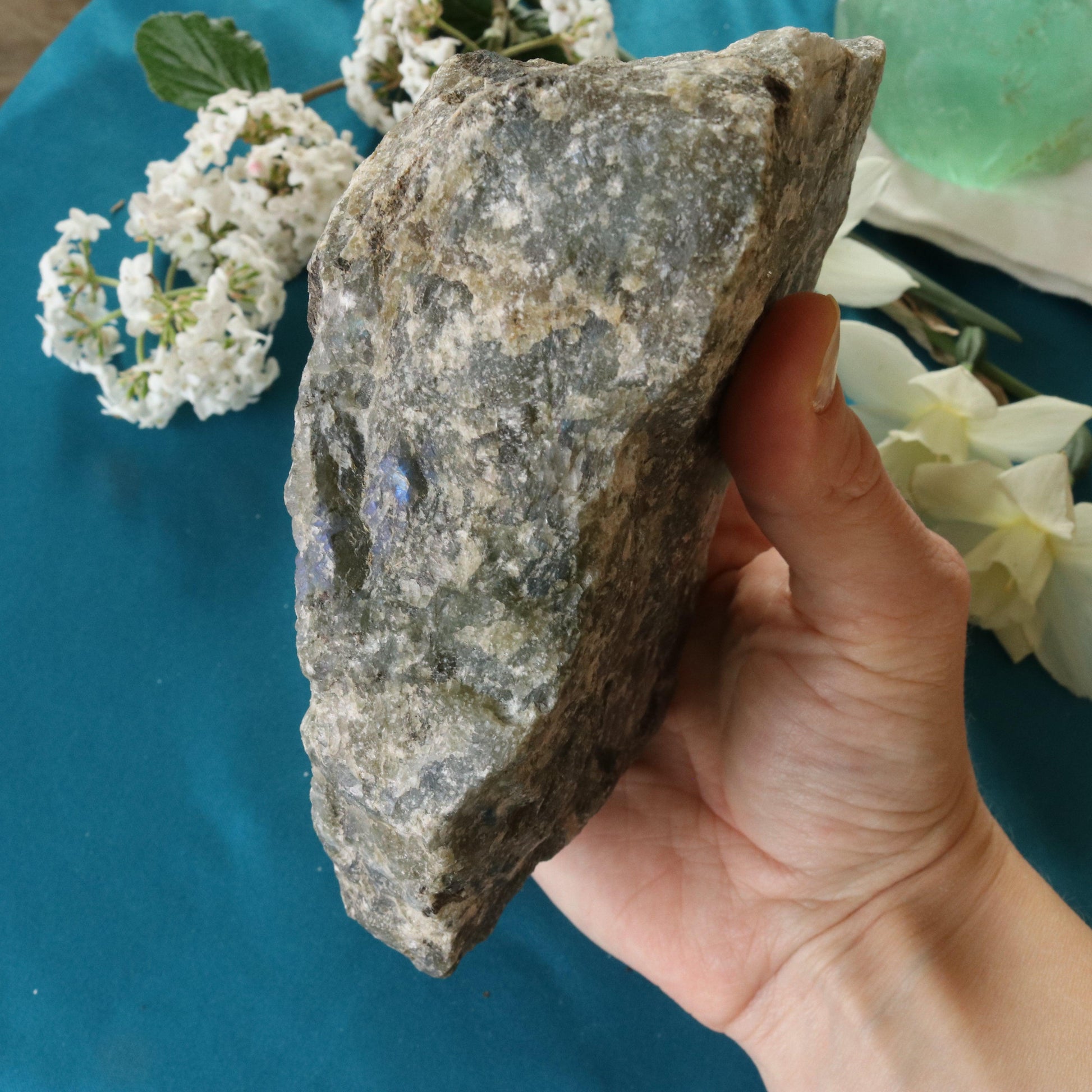 Rough Labradorite Specimen with Rainbow Blue Flashes ~ Specimen #4 - Earth Family Crystals