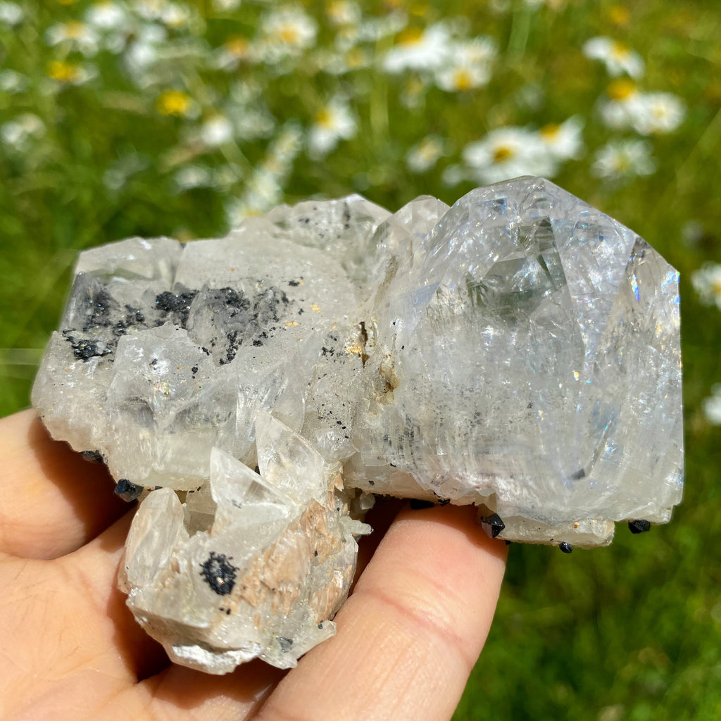 Incredible Rare Find! Old collection Natural Calcite & Black Lvaite Crystals from Dalnegorsk, Russia - Earth Family Crystals