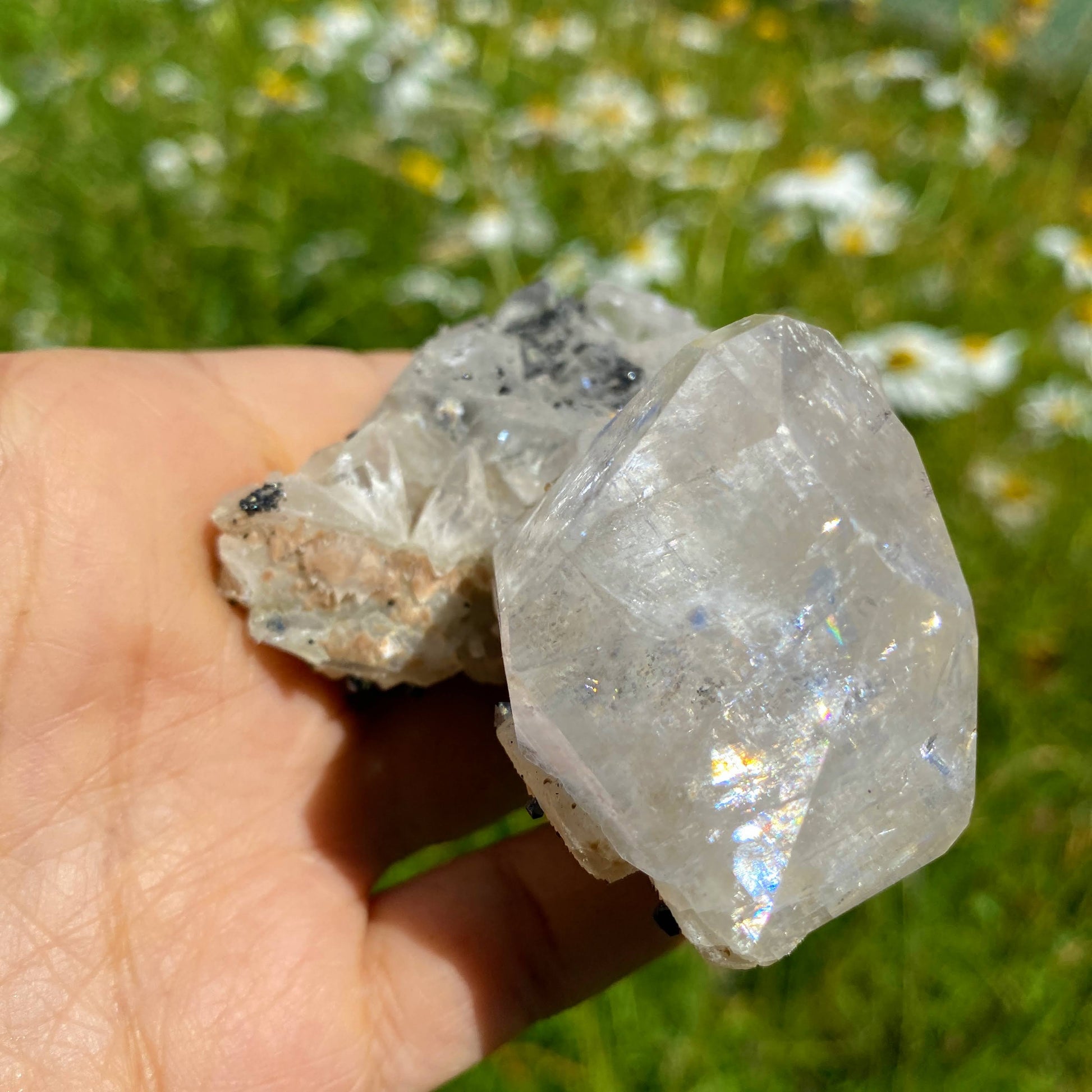 Incredible Rare Find! Old collection Natural Calcite & Black Lvaite Crystals from Dalnegorsk, Russia - Earth Family Crystals