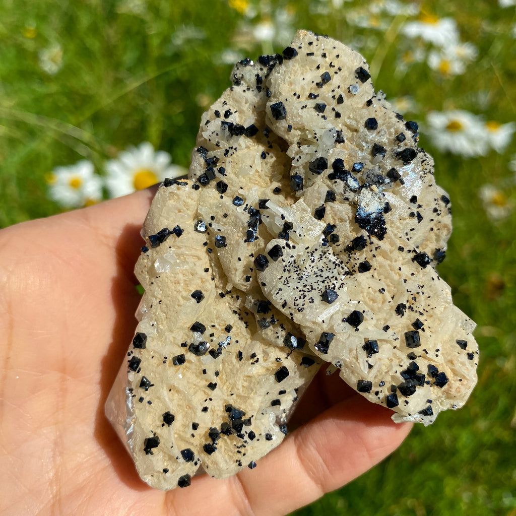 Incredible Rare Find! Old collection Natural Calcite & Black Lvaite Crystals from Dalnegorsk, Russia - Earth Family Crystals
