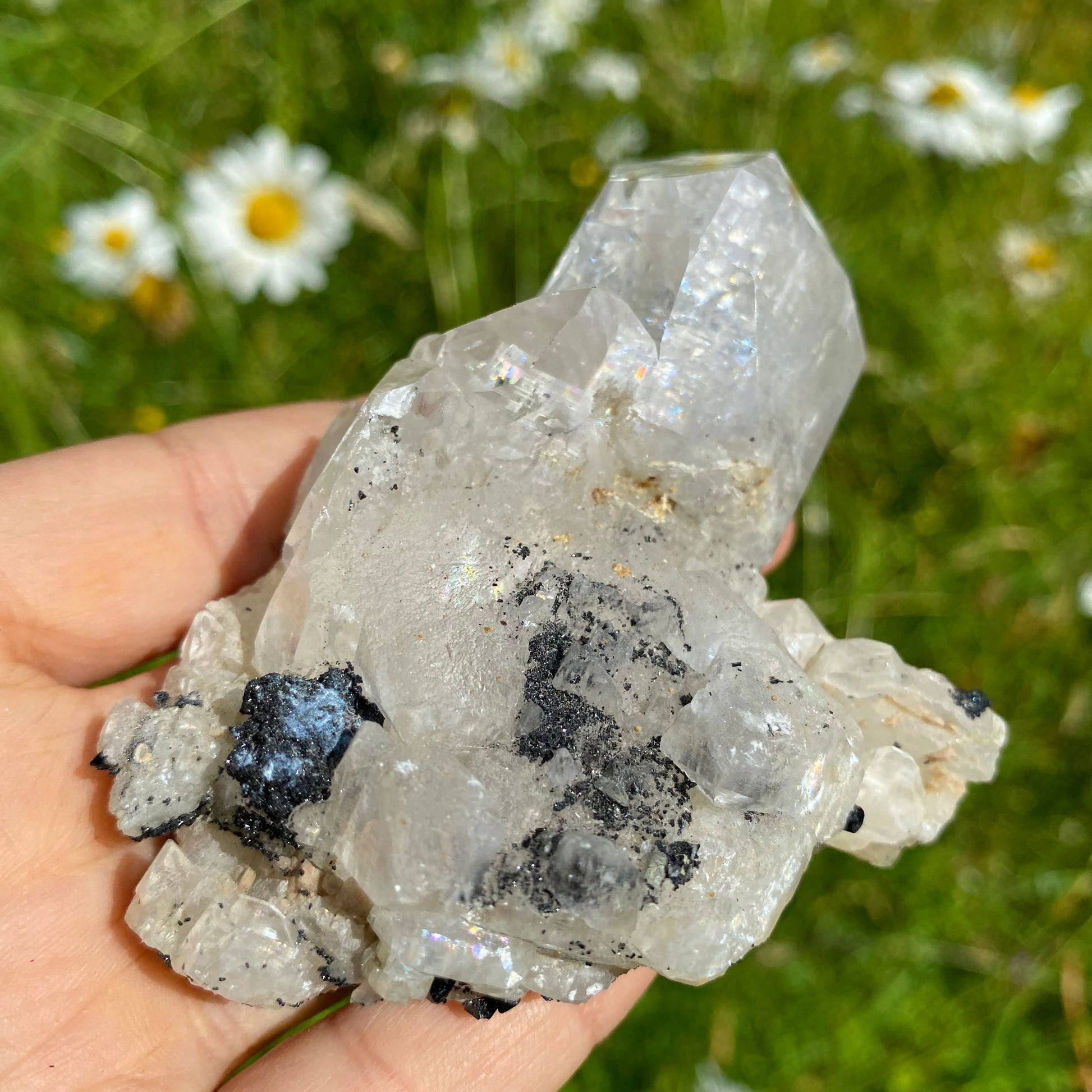 Incredible Rare Find! Old collection Natural Calcite & Black Lvaite Crystals from Dalnegorsk, Russia - Earth Family Crystals