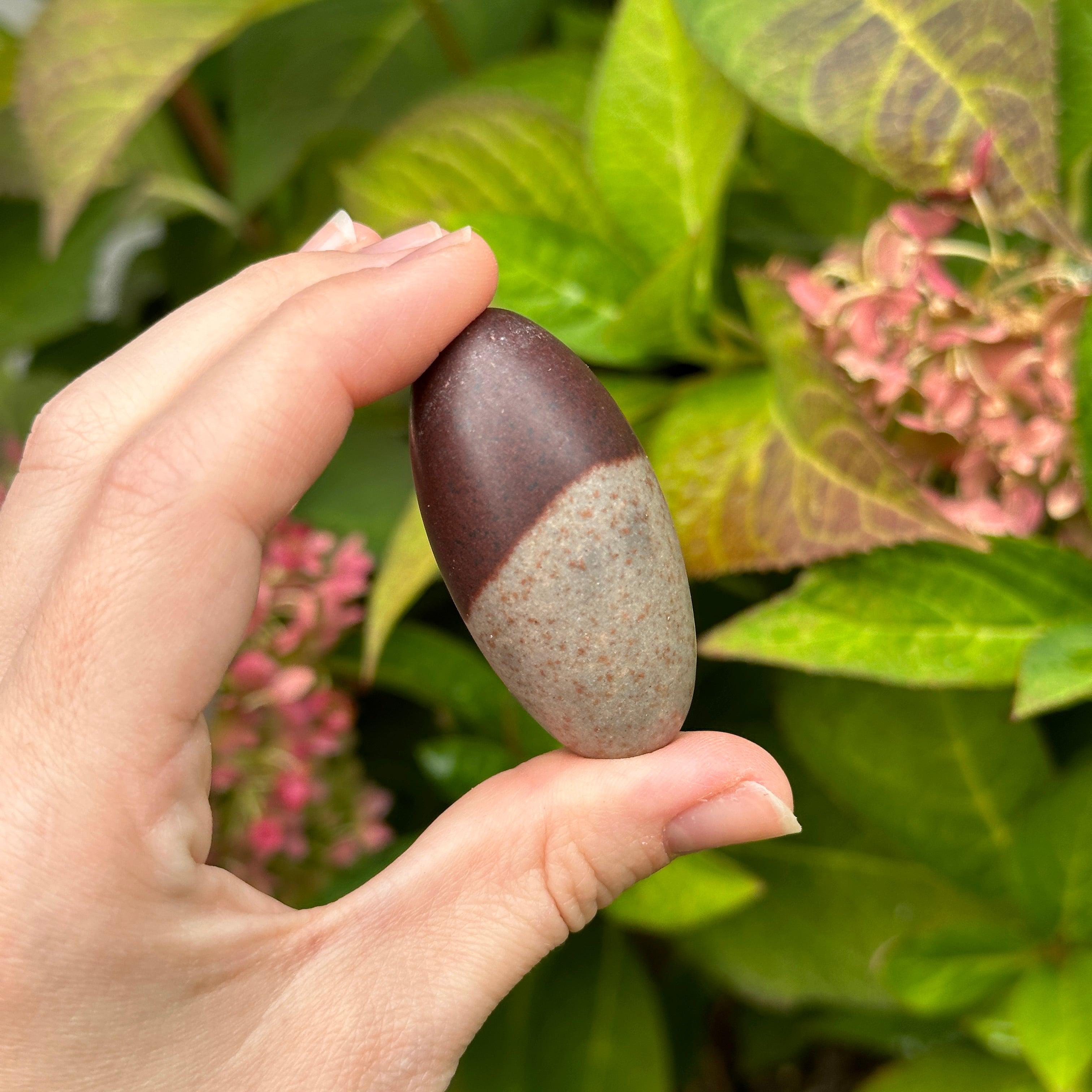 Perfect Palm Size Genuine Shiva Lingham Stone ~ Raises Vital Life Force Energies