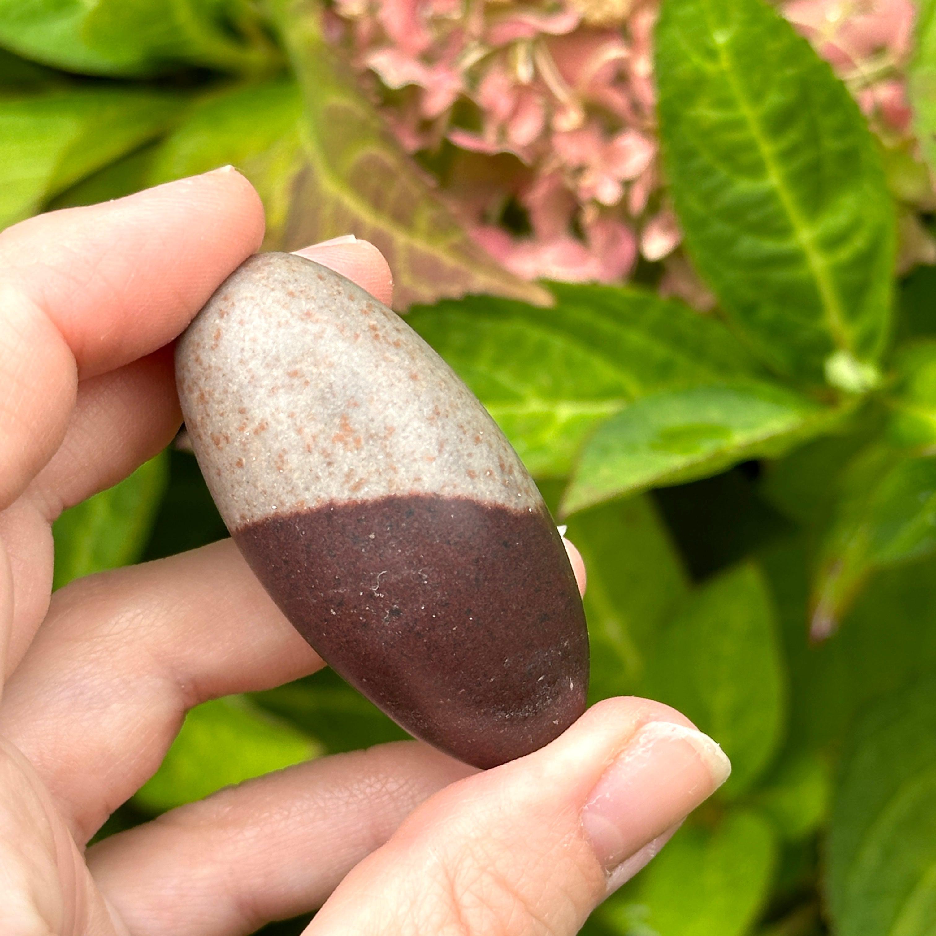 Perfect Palm Size Genuine Shiva Lingham Stone ~ Raises Vital Life Force Energies
