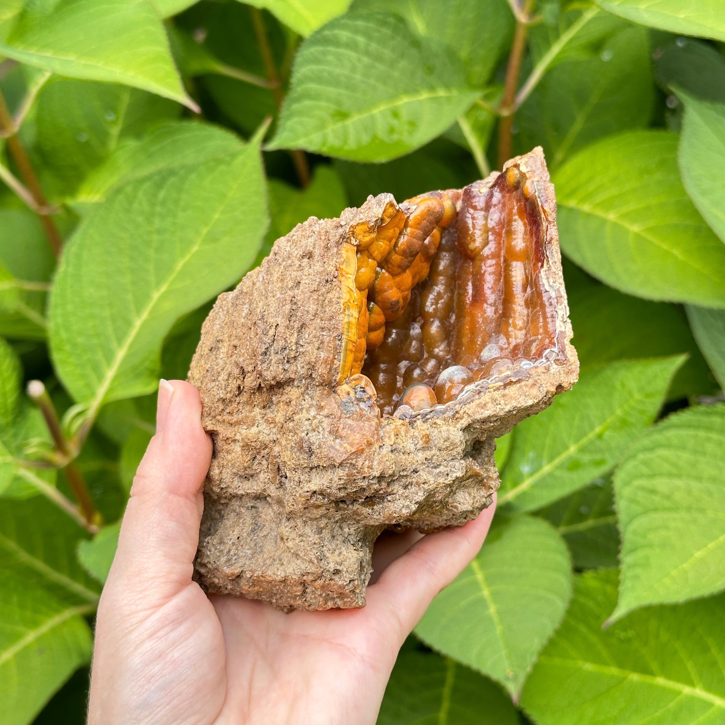 Jumbo Chalcedony Specimen from the USA Weird and Unique!!