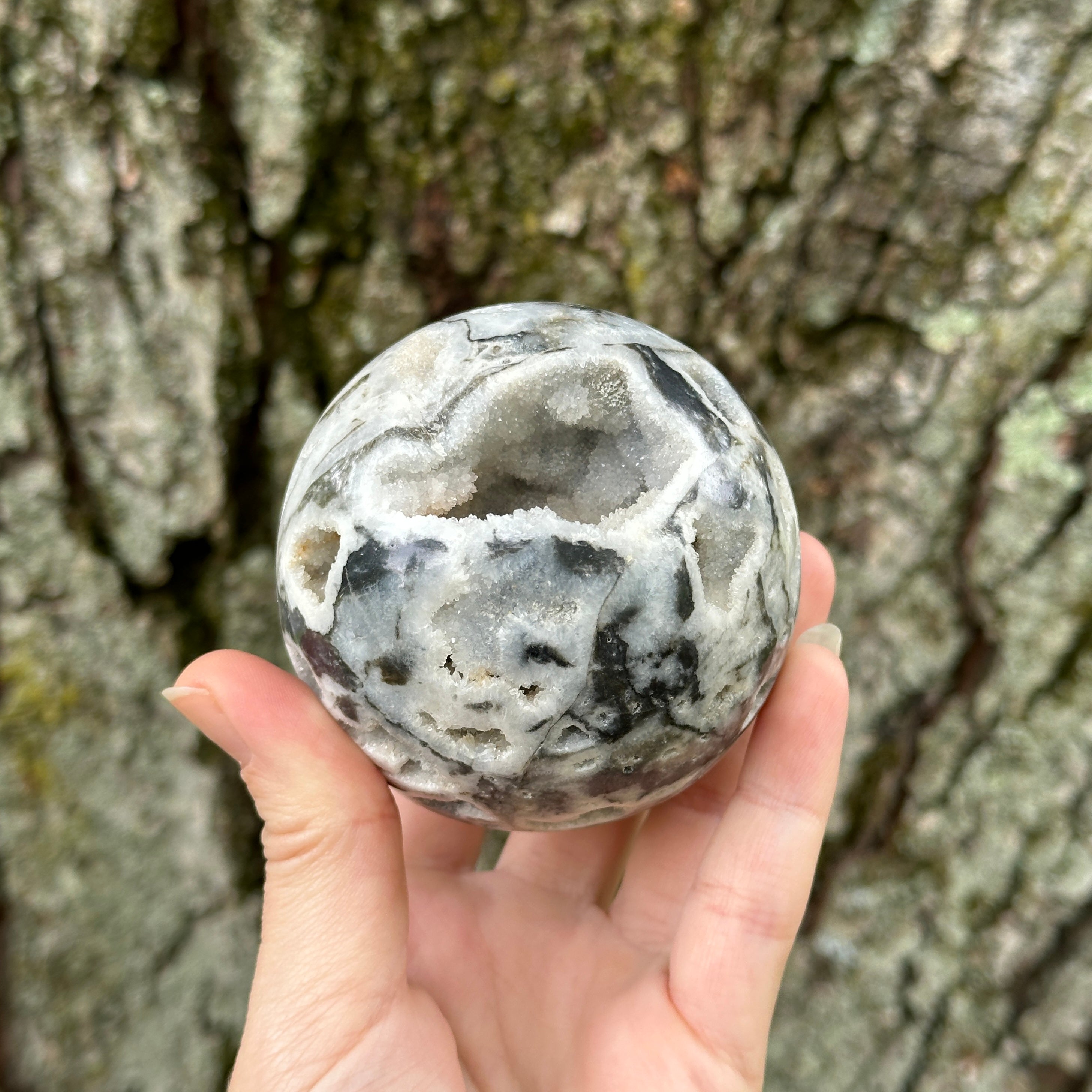 Gorgeous XL Druzy Cave Geode Dendritic Agate Sphere Carving (Includes Stand)