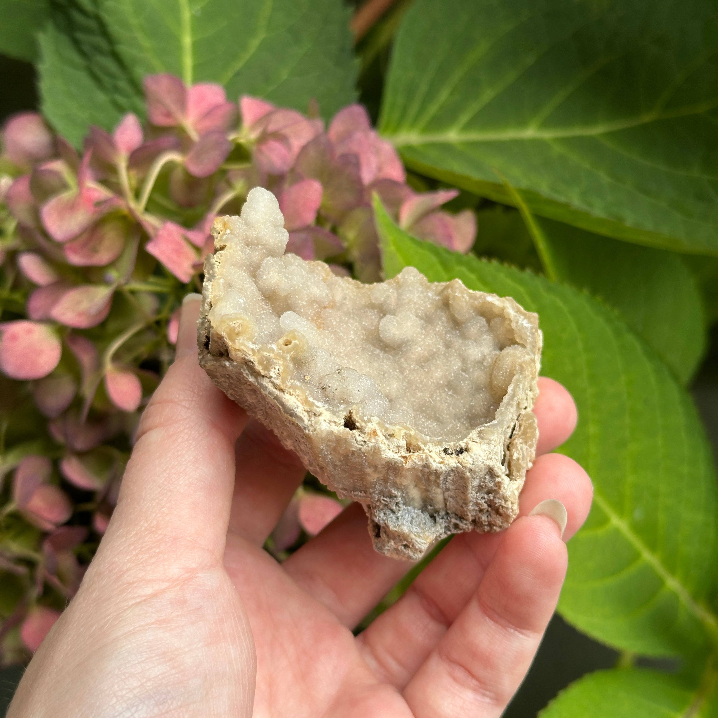 Shimmering Chalcedony Geode Specimen