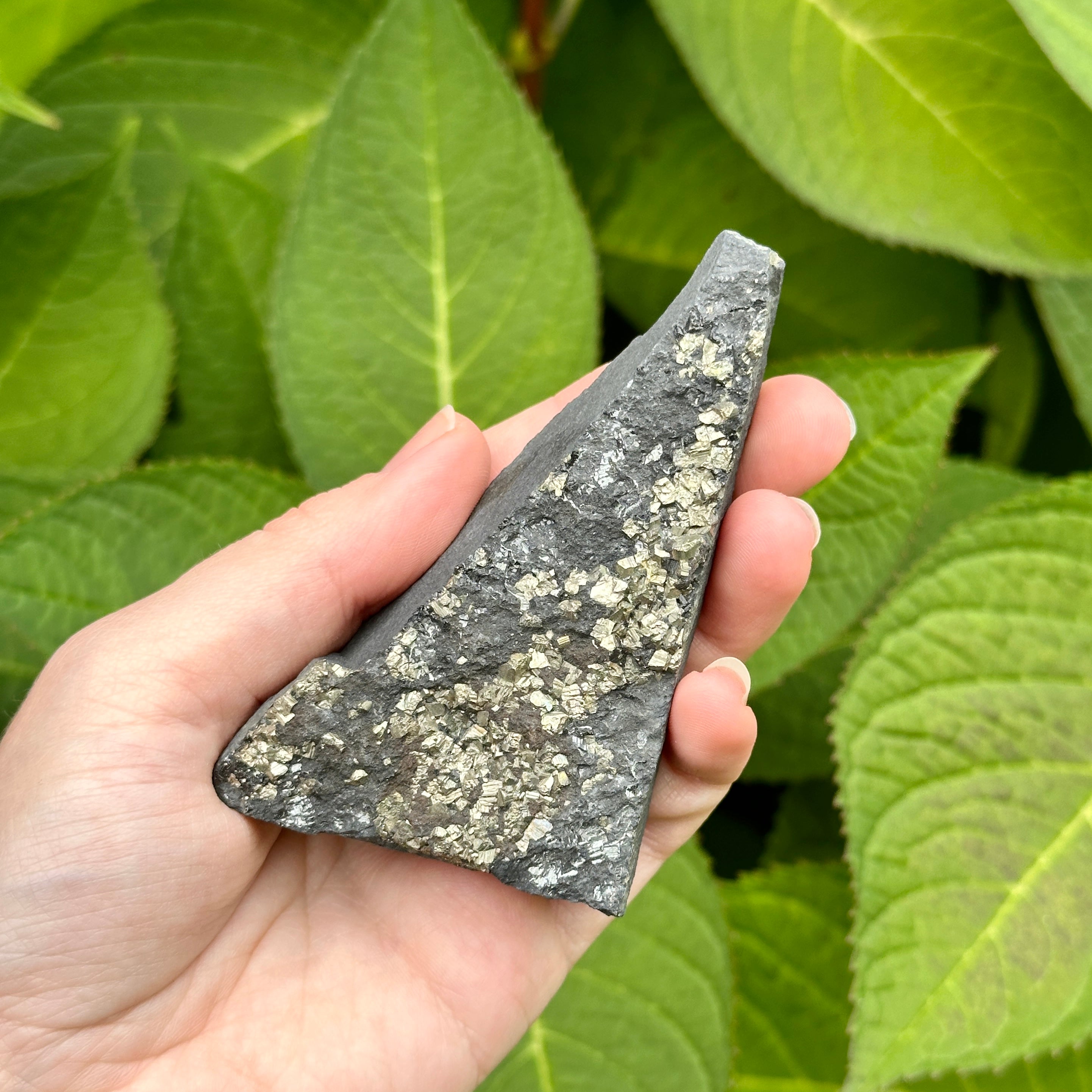 Raw and Natural Black Shungite with Pyrite Crust ~ EMF Blocker