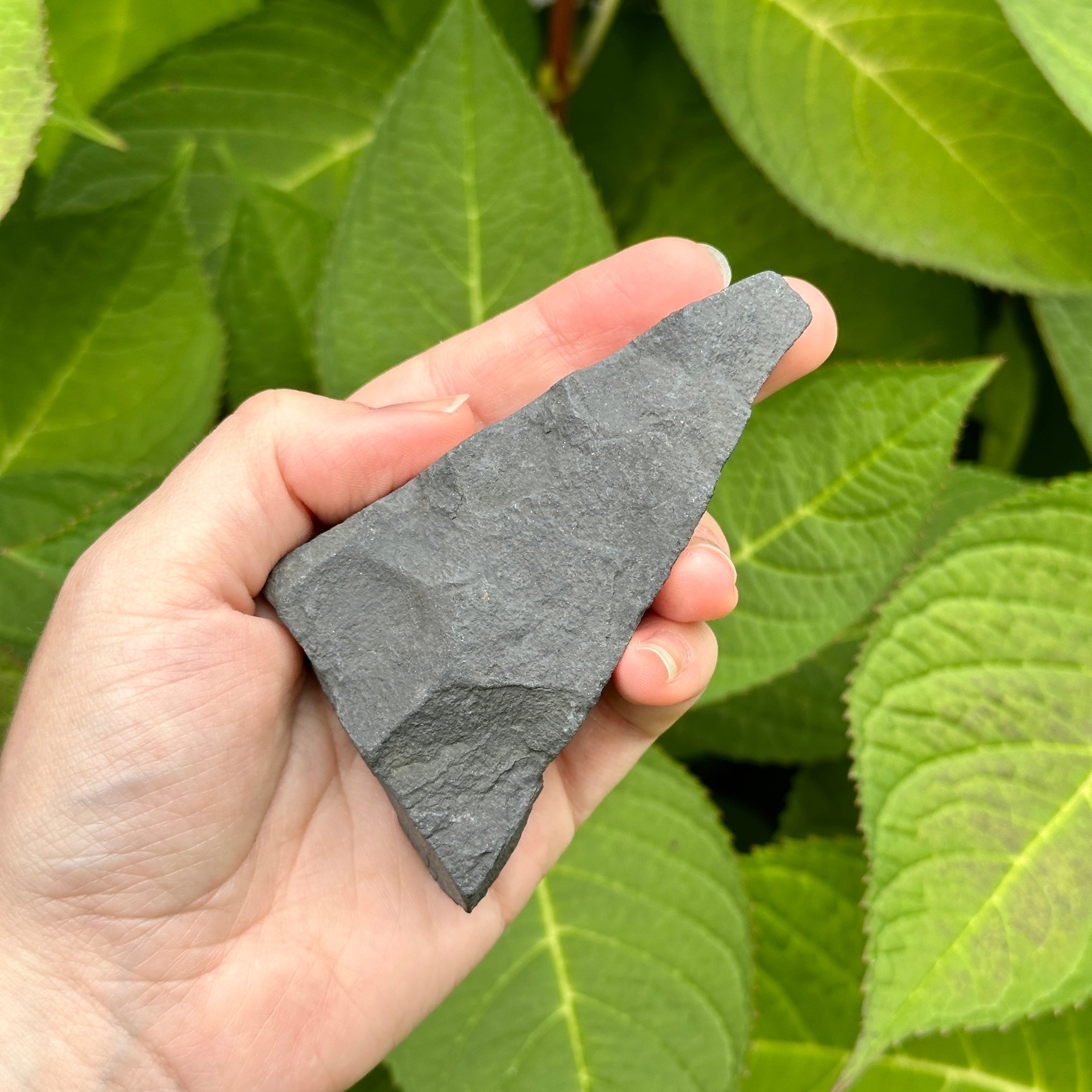 Raw and Natural Black Shungite with Pyrite Crust ~ EMF Blocker