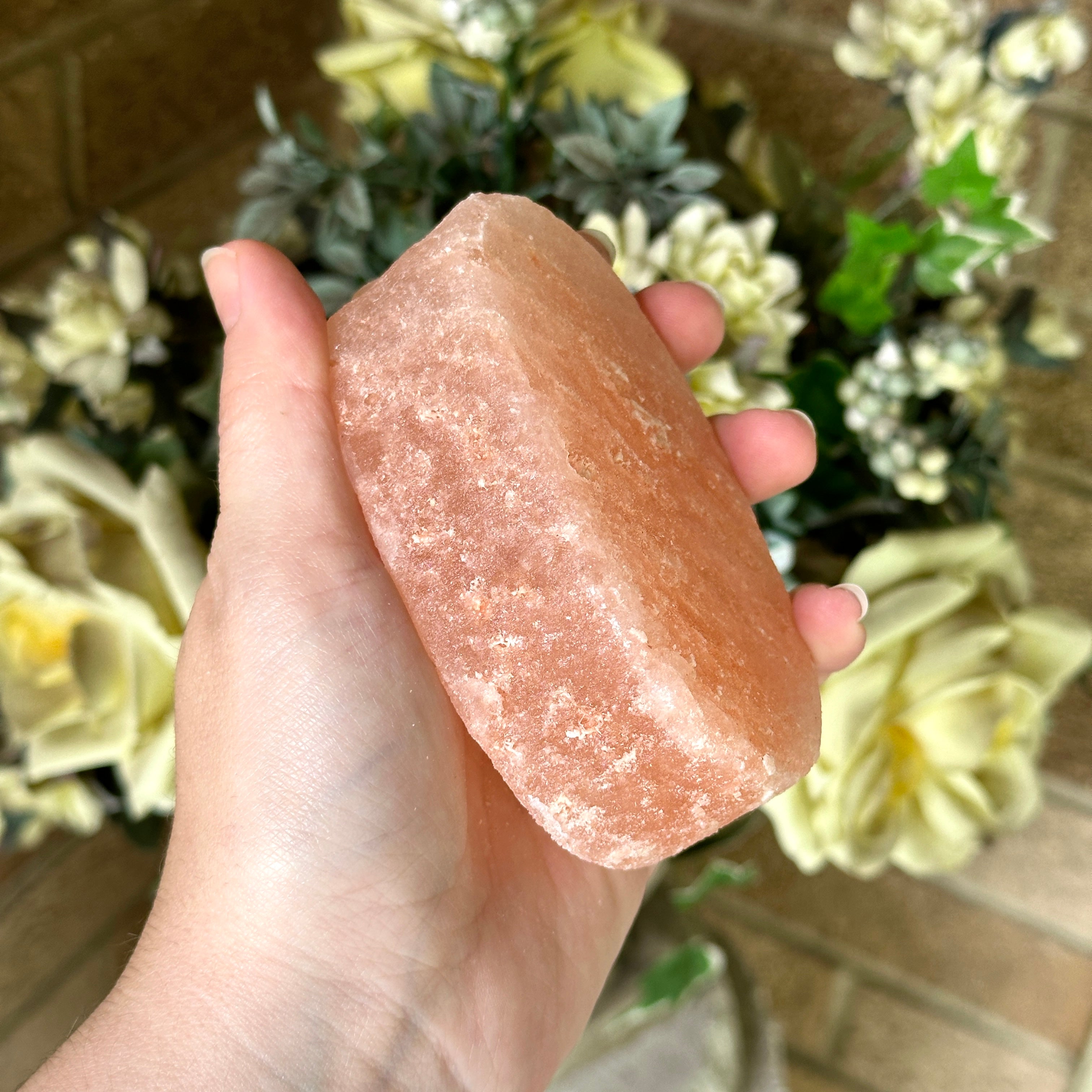 Shimmering Himilayan Salt Crystal Soap Carving ~ Clear Energy Field