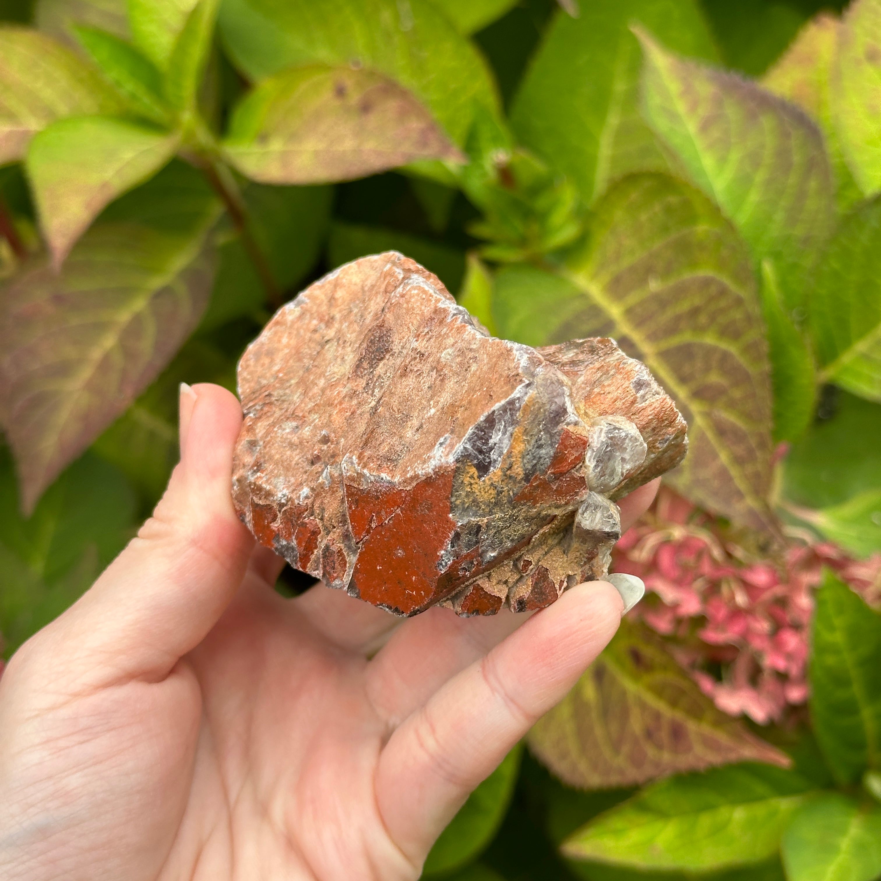 Genuine Auralite 23 Amethyst Crystal from Ontario, CA ~ Shimmering Crust