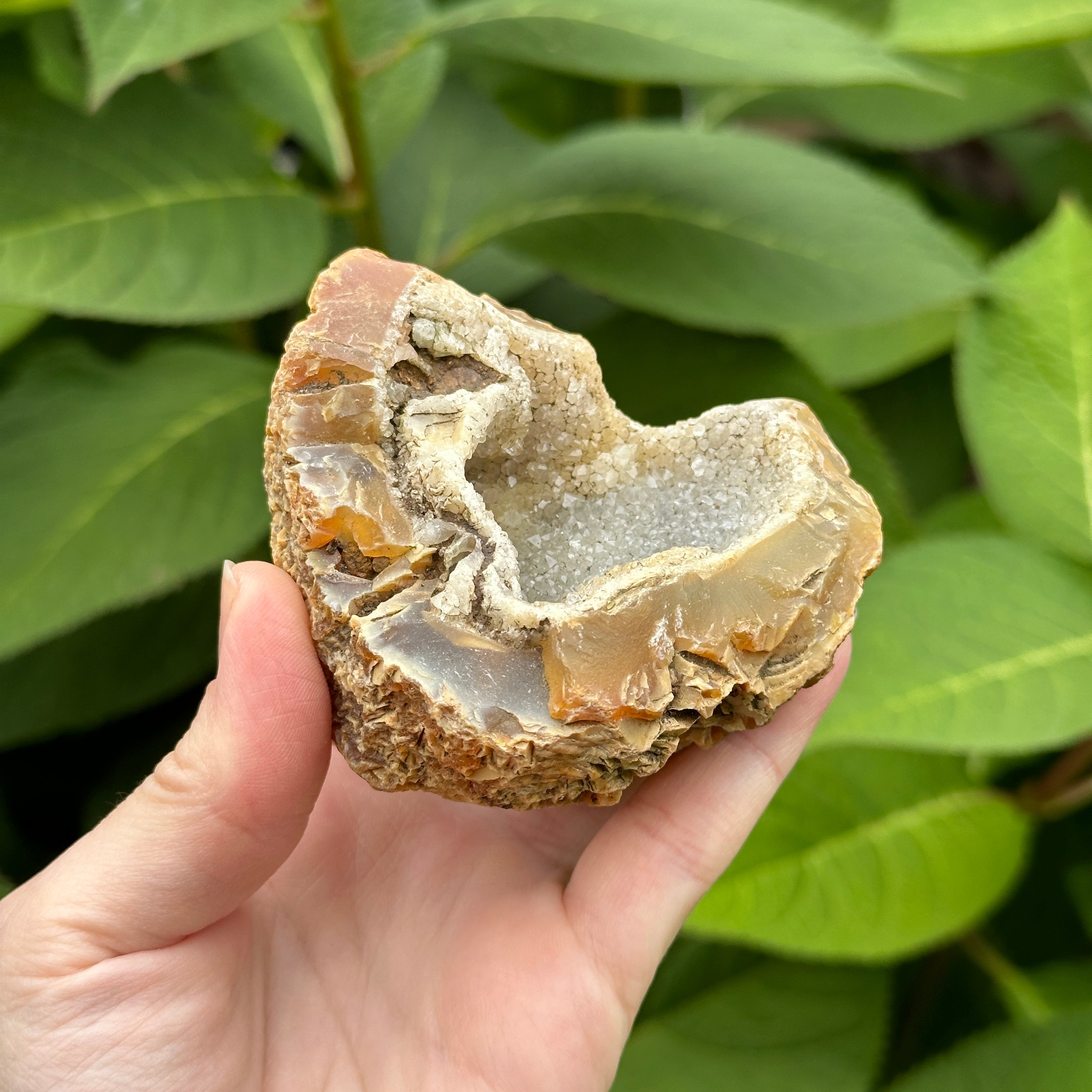 Hand Collected Agate Geode Crystal with Druzy ~ From Washington State, USA