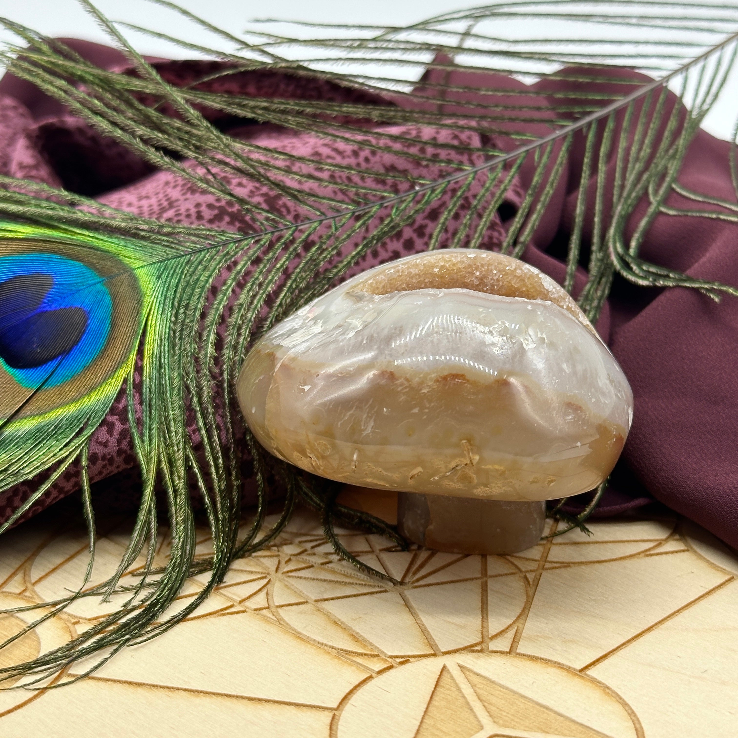 Groovy Mushroom Agate Stone Carving with Unique Sparkling Druzy