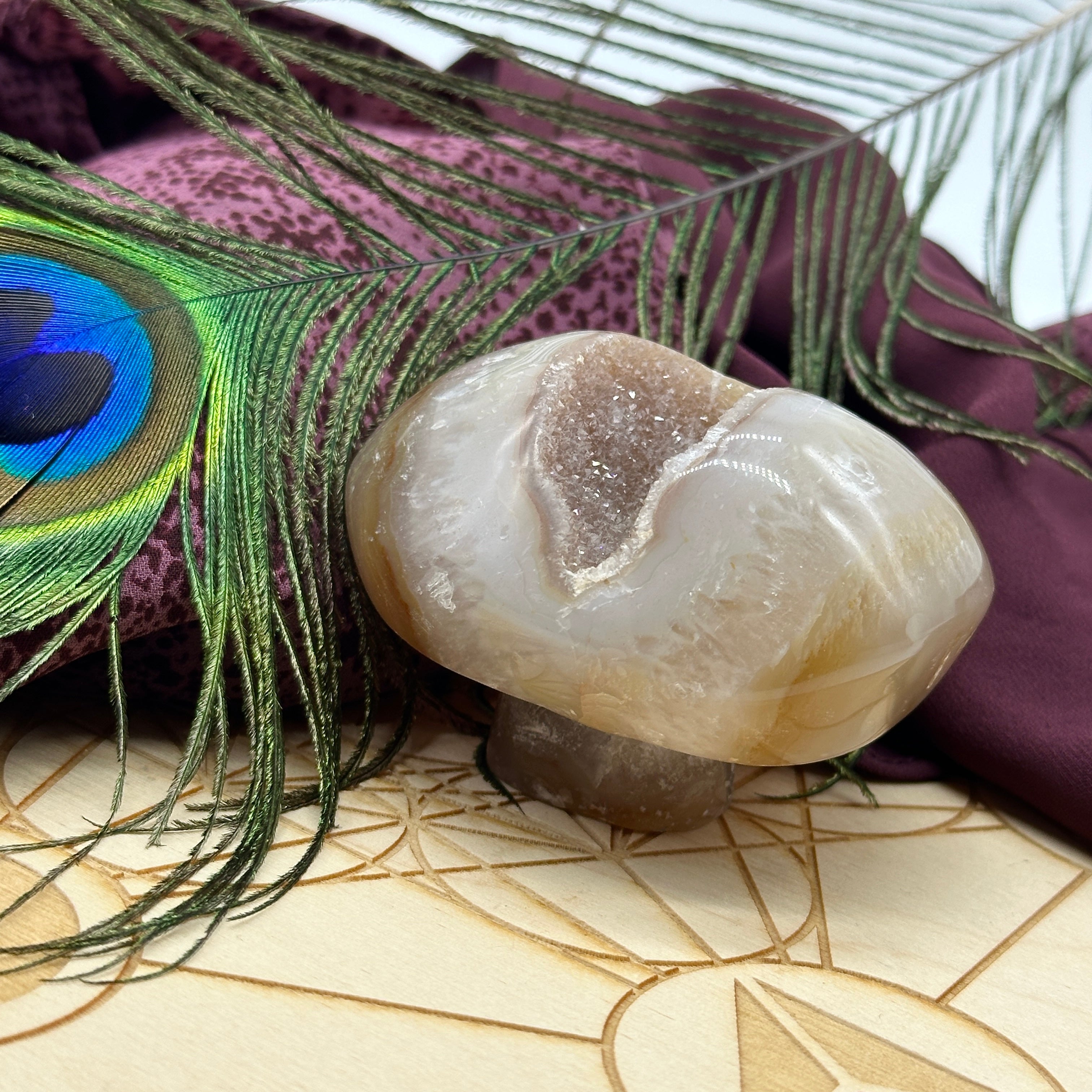 Groovy Mushroom Agate Stone Carving with Unique Sparkling Druzy