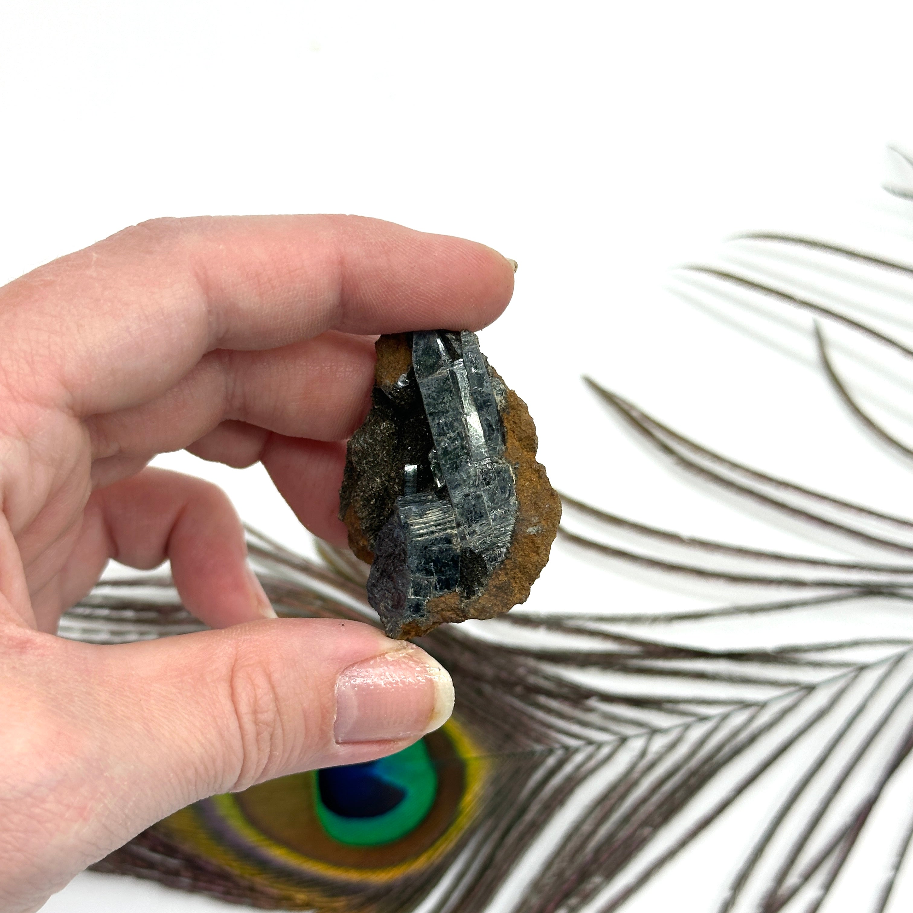 Rare Flashy Vivianite on Matrix ~ Awaken Emerald Dragon Codes (Locale: Tomokoni, Bolivia)
