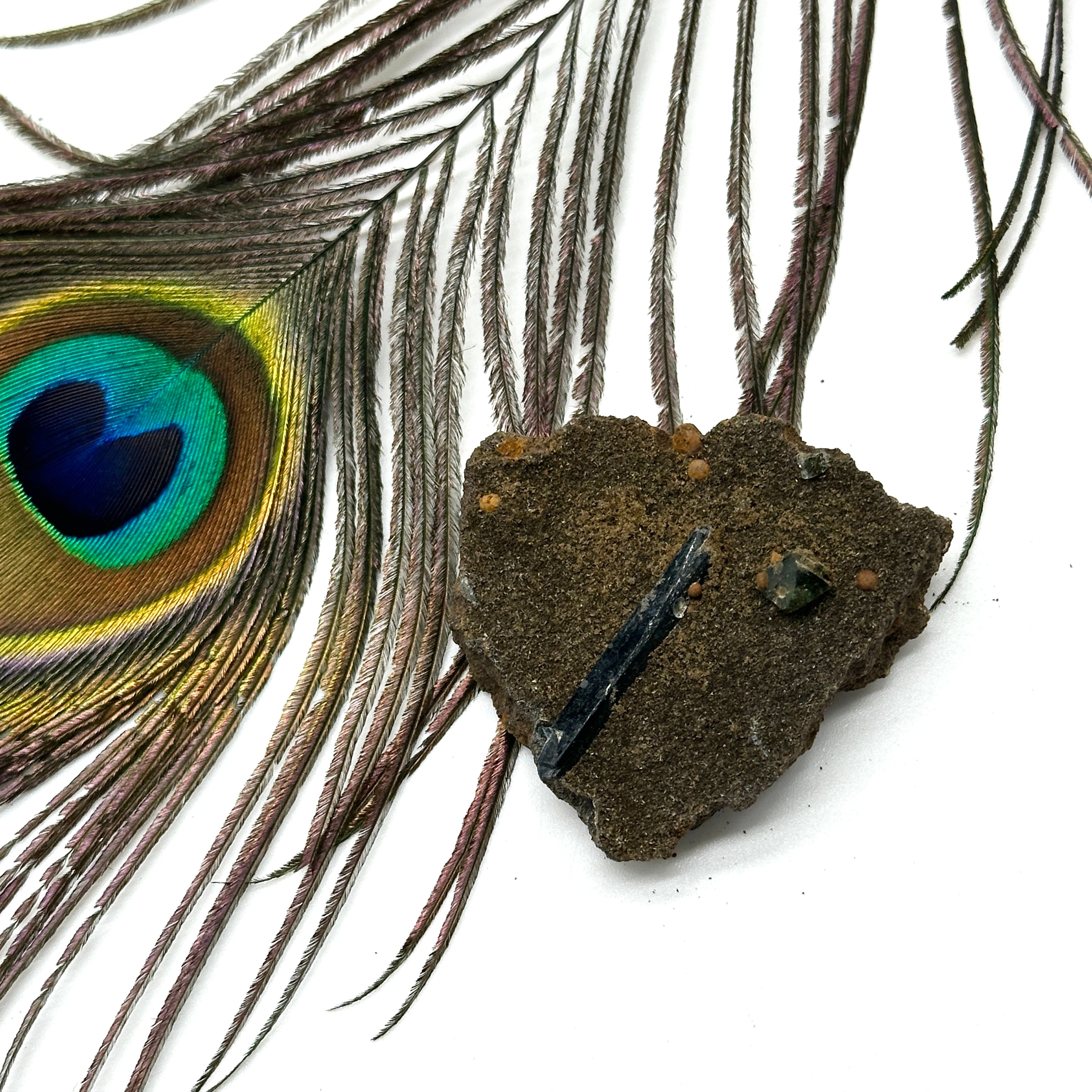 Rare Vivianite Blade on Matrix ~ Emerald Dragon Activation Crystal (Locale: Tomokoni, Bolivia)