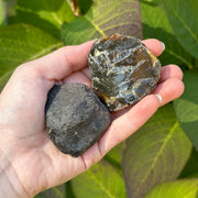 Sumatra Set Blue Amber & Apache Tear Obsidian Gemstone Set for Healing and Recovery