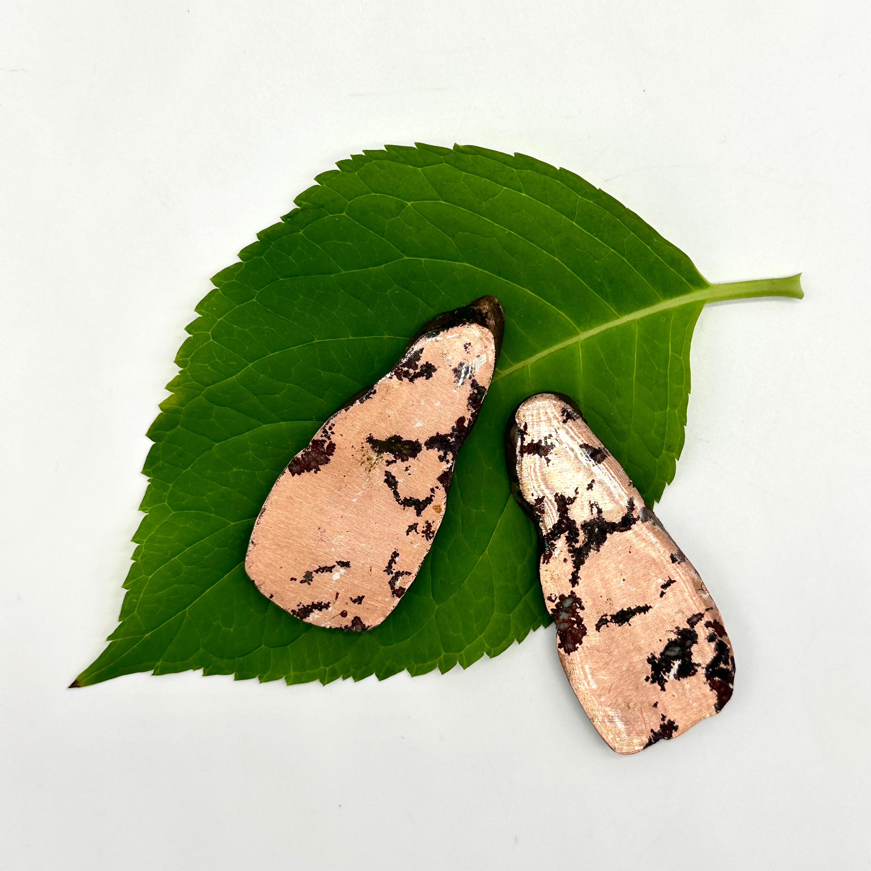 Native Earth Conductive Copper Slices with Silver Veins ~ Partial Resin Finish