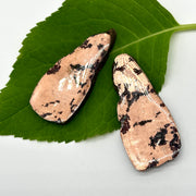 Native Earth Michigan Copper Slices with Resin Coating