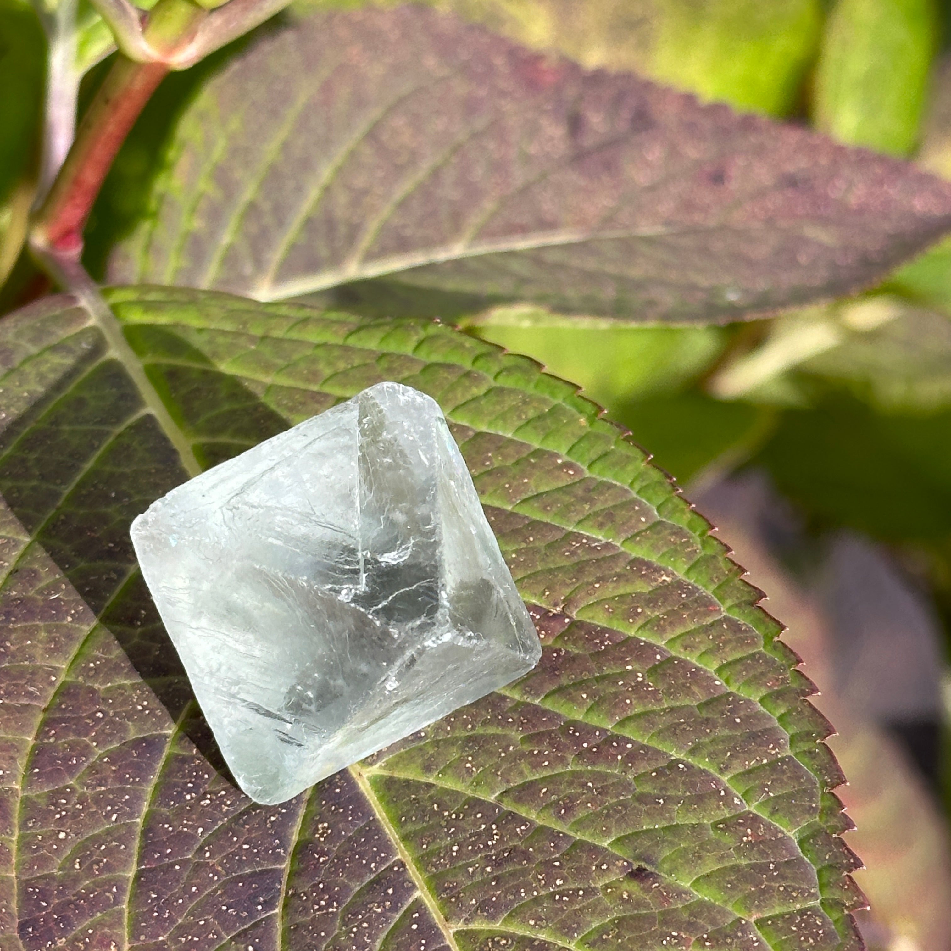 Radiant Rainbow Natural Green Fluorite Octahedron Crystal