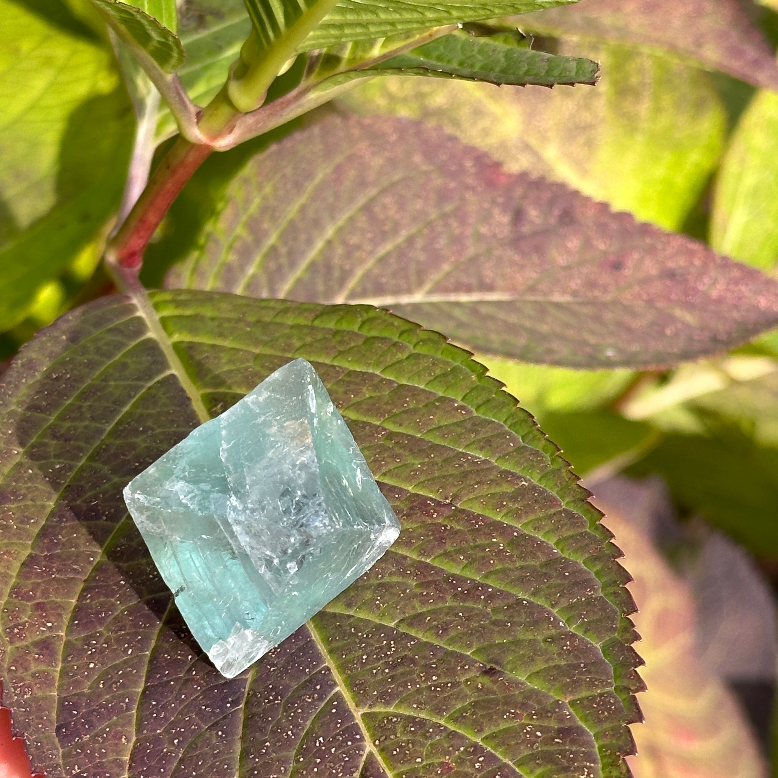Seafoam Green Natural Fluorite Octahedron Crystal