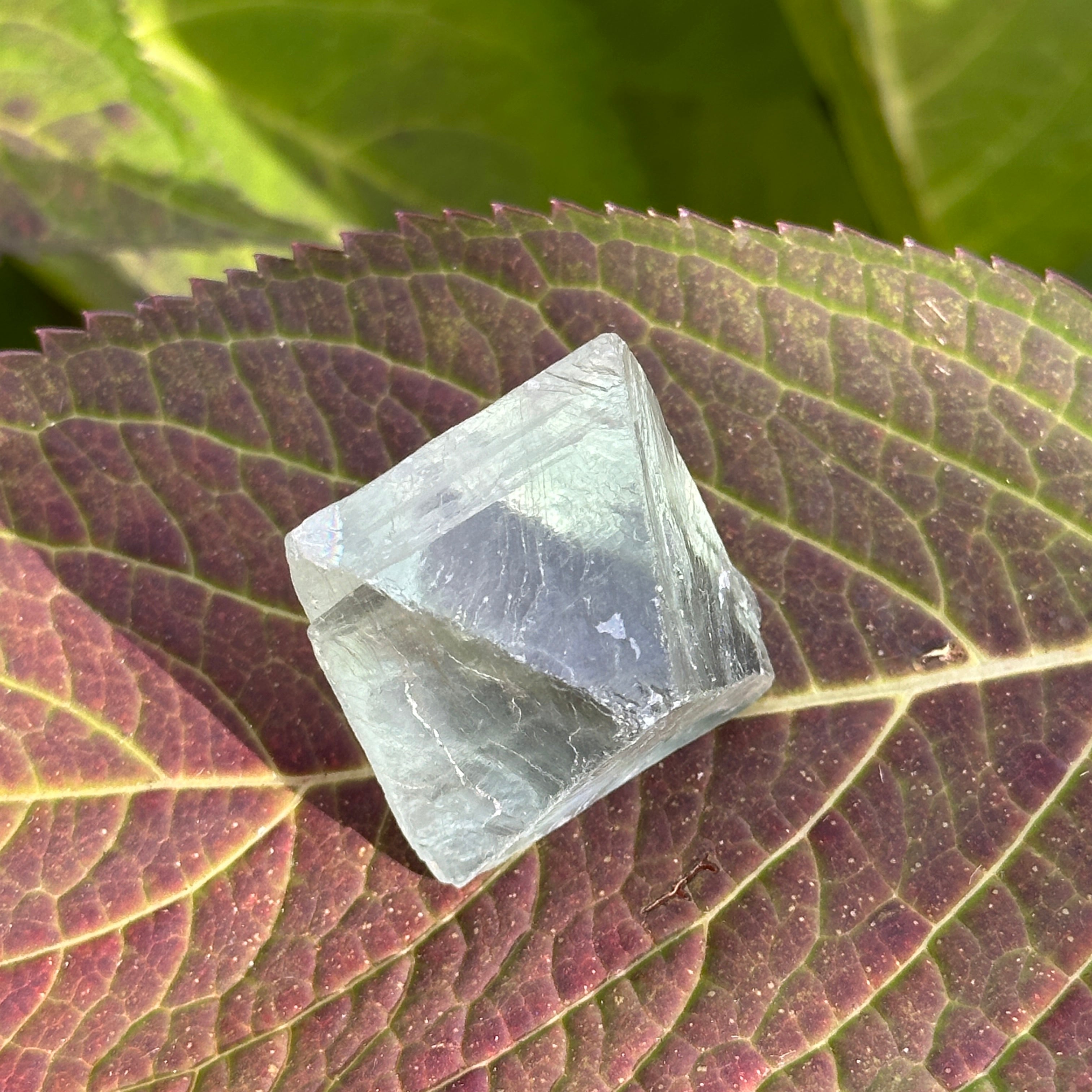 Dancing Rainbows! Natural Green Fluorite Crystal Octahedron