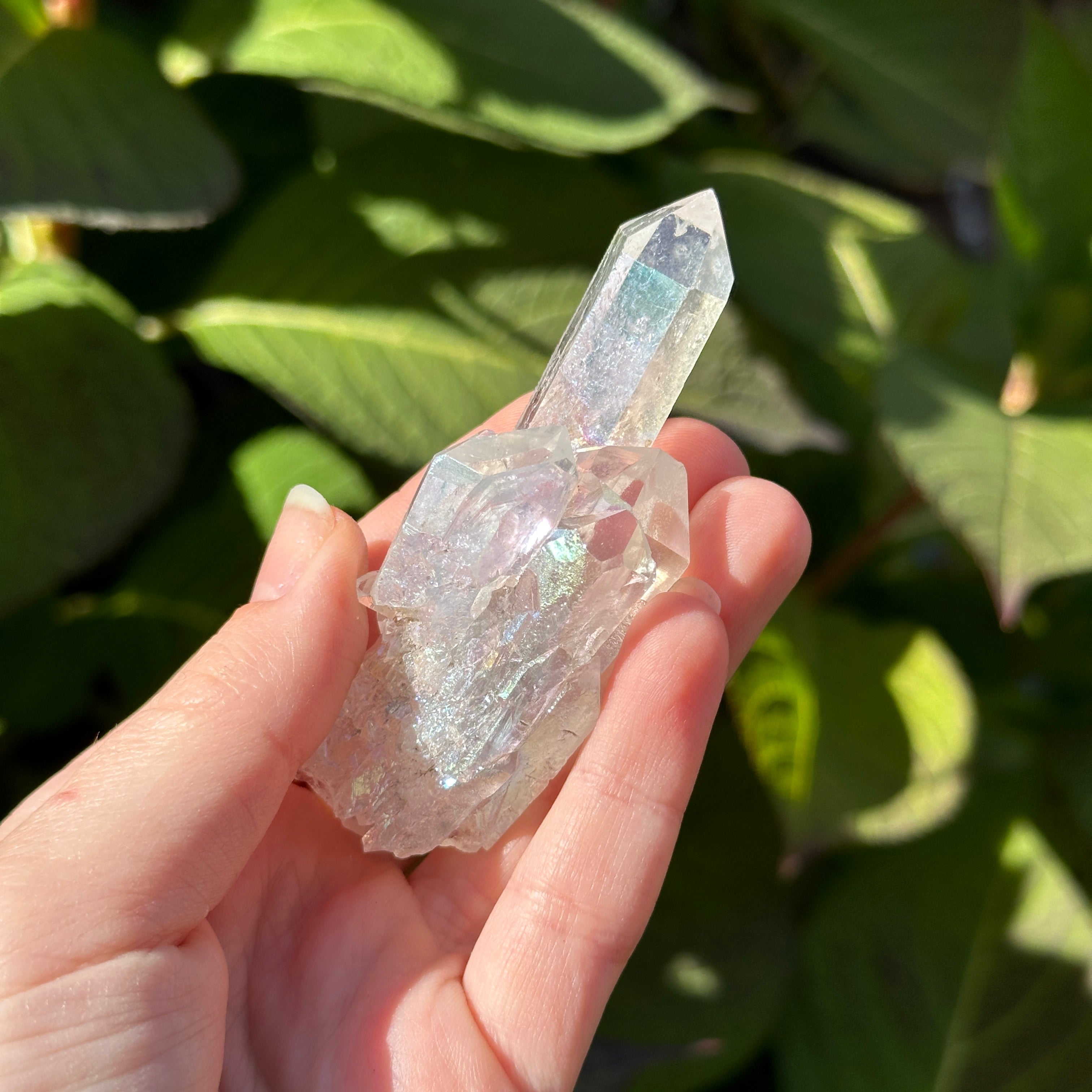 Gorgeous Peaks Angel Aura Coated Gemmy Clear Quartz Crystal