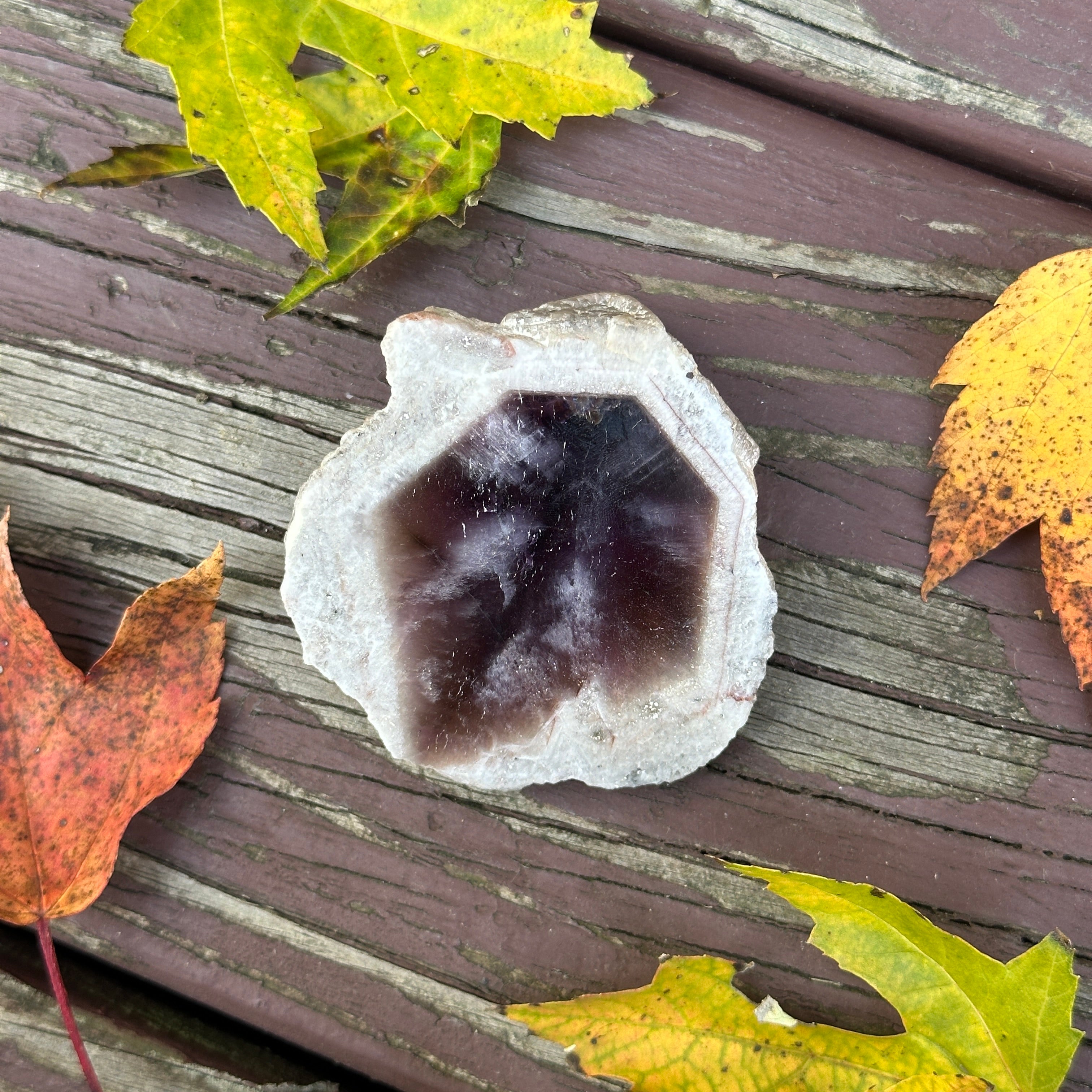 Geometric Phantom Smoky Amethyst Partially Polished Point with Calcite Crusted Top ~ Locale: Brazil