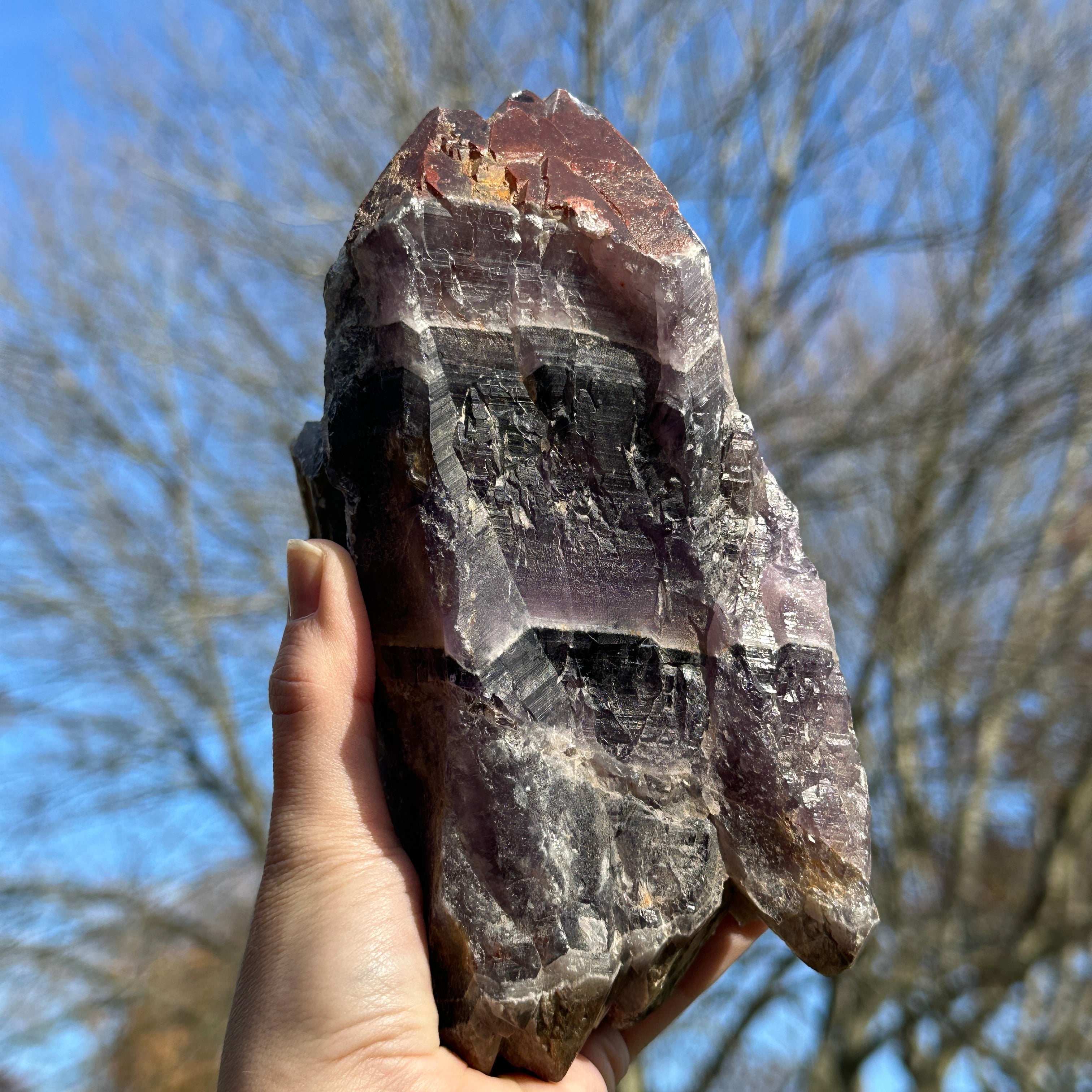 Quad Terminated Auralite 23 Point with Keepers and Sparkling Crust and Red Hematite