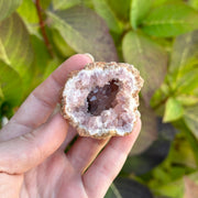 Bright and Cheerful Small Grade A Pink Amethyst Geodes from Colli Cura Mine ~ Argentina