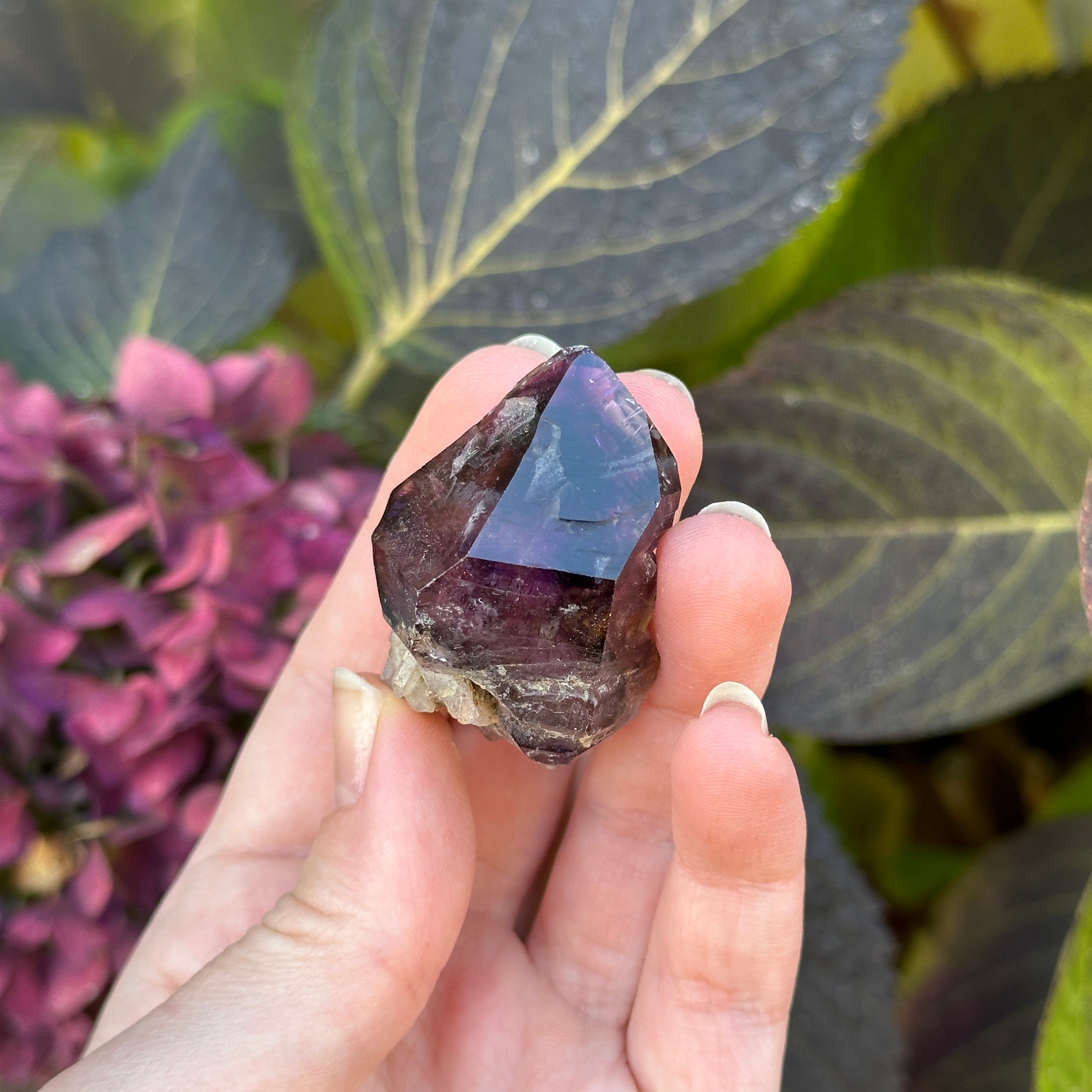 Rare Shangaan Amethyst Crystals with Scepters, Double Terminations and Phantoms- Size Medium