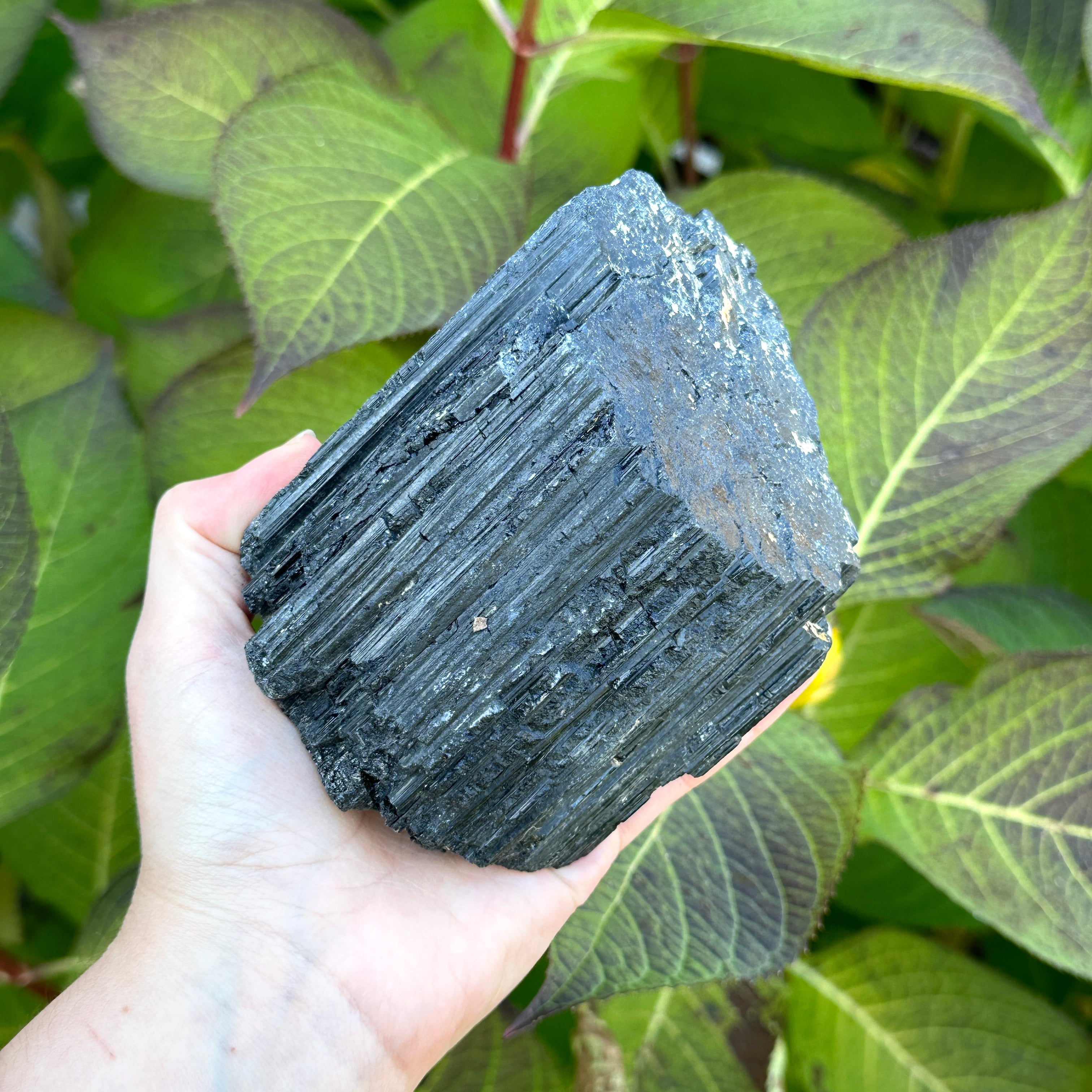 Large Black Tourmaline Rods from India