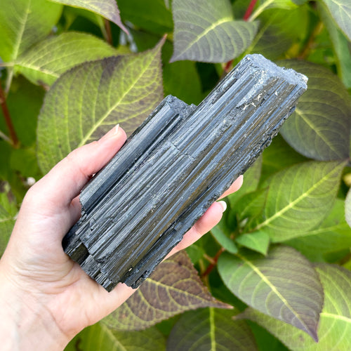 Large Black Tourmaline Rods from India