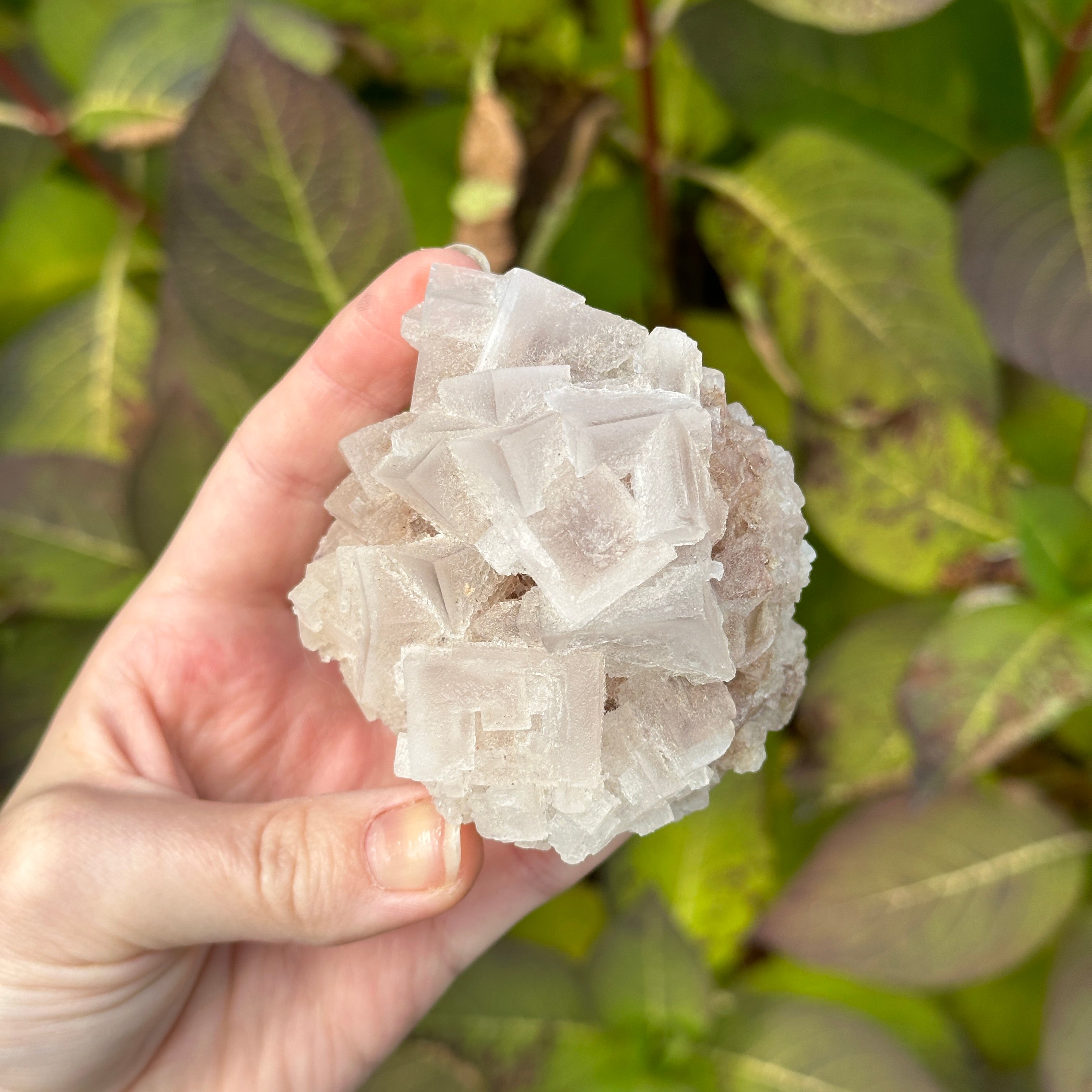 Unique Pink Halite Salt Cluster Specimen from Searles Lake, California