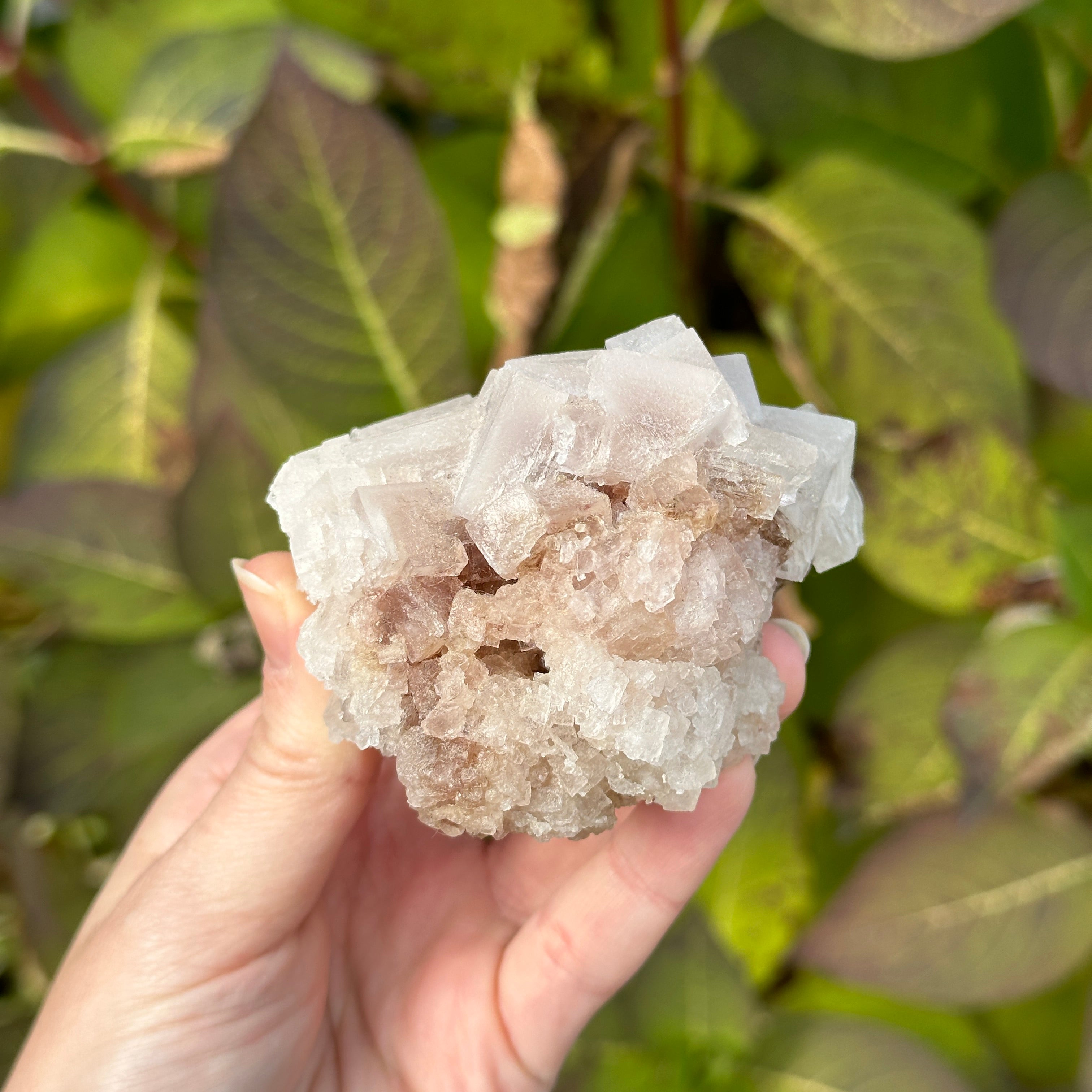 Unique Pink Halite Salt Cluster Specimen from Searles Lake, California