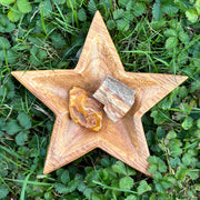Lithuanian Natural Amber & Petrified Wood Set