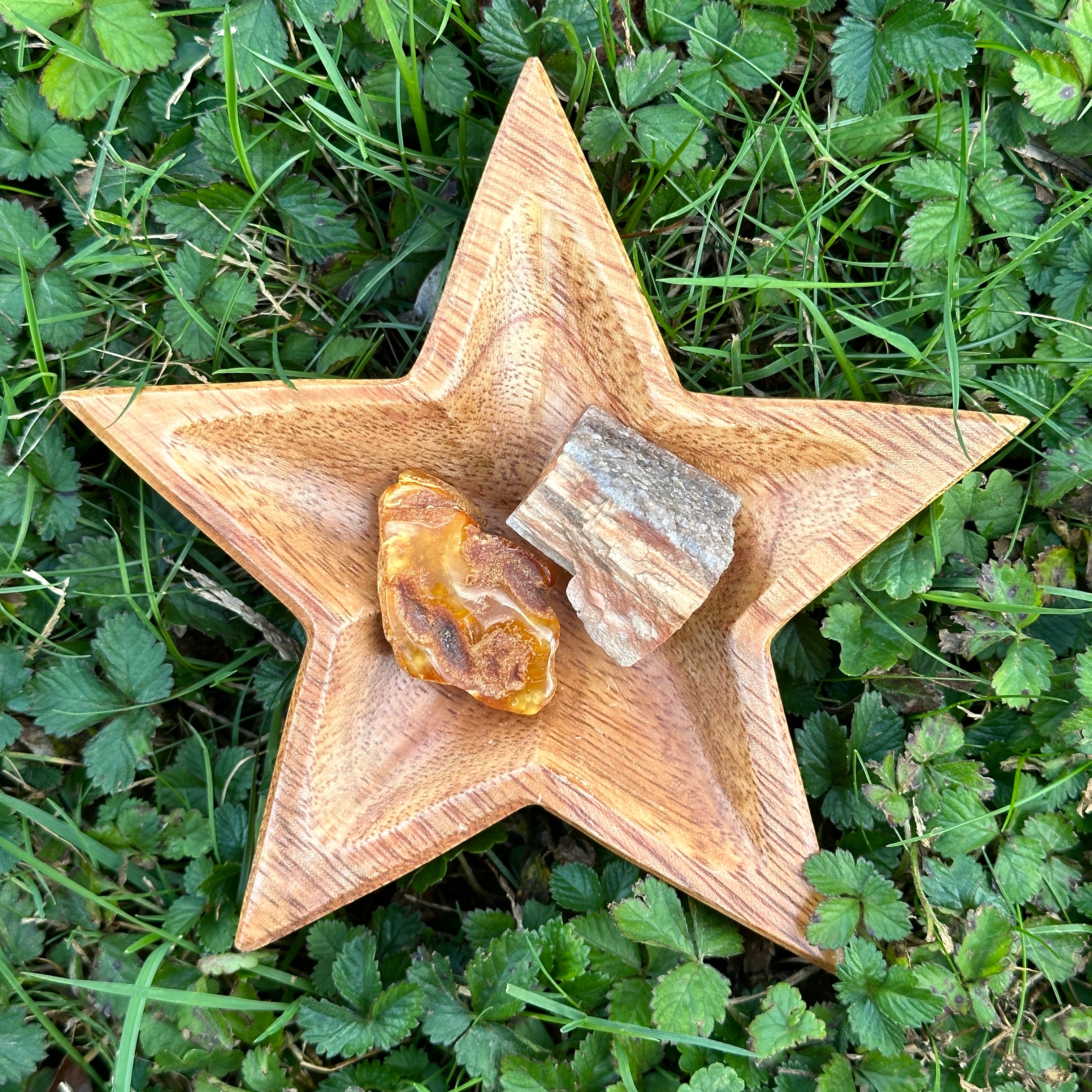 Lithuanian Natural Amber & Petrified Wood Set
