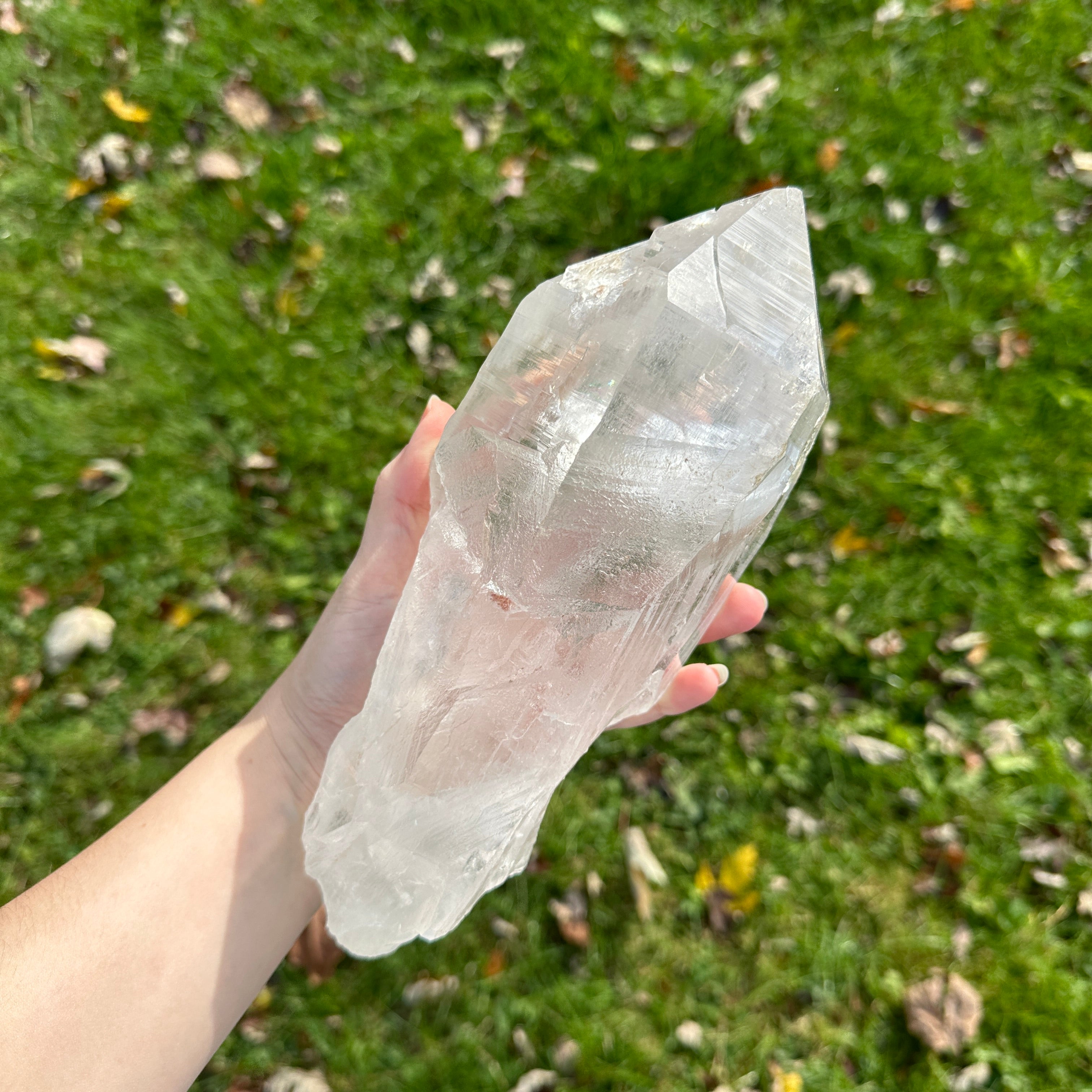 Jaw Dropping Jumbo Himalayan Quartz Natural Unpolished Point With Rainbows (AA Grade)